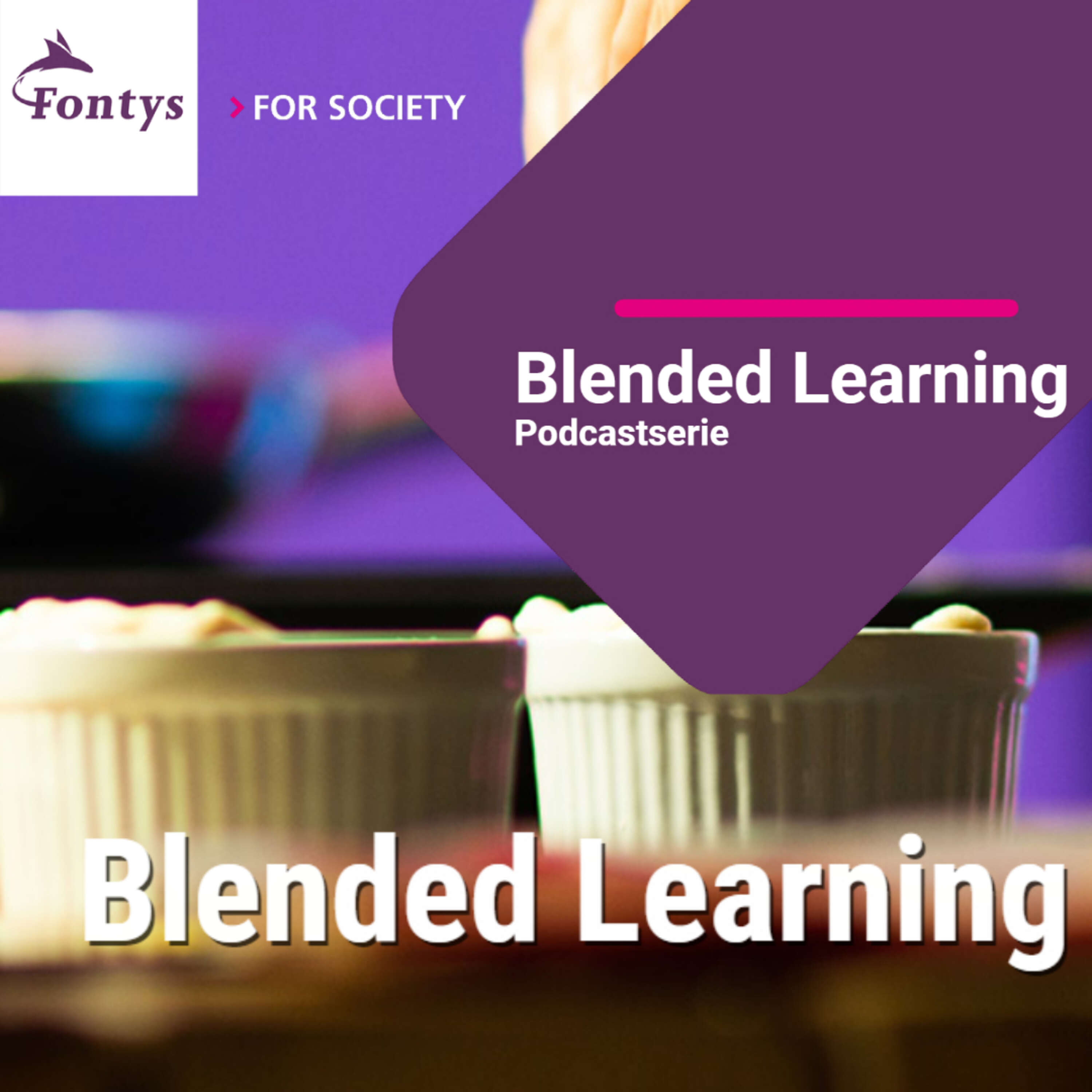 Fontys Blended Learning - #12 Blended ontwerpen van onderwijs