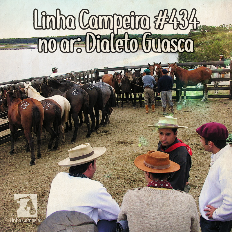 Programa #434 - Dialeto Guasca