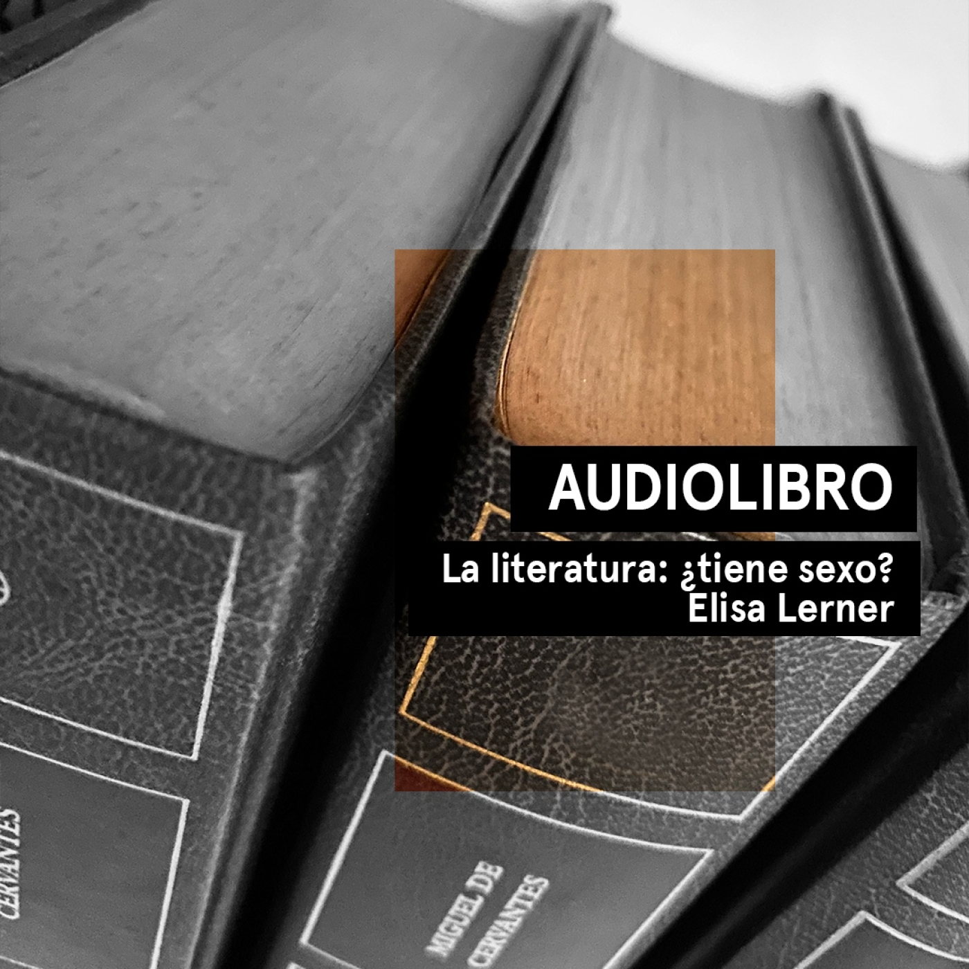 La literatura: ¿tiene sexo? - Elisa Lerner | Audiolibros Por qué leer