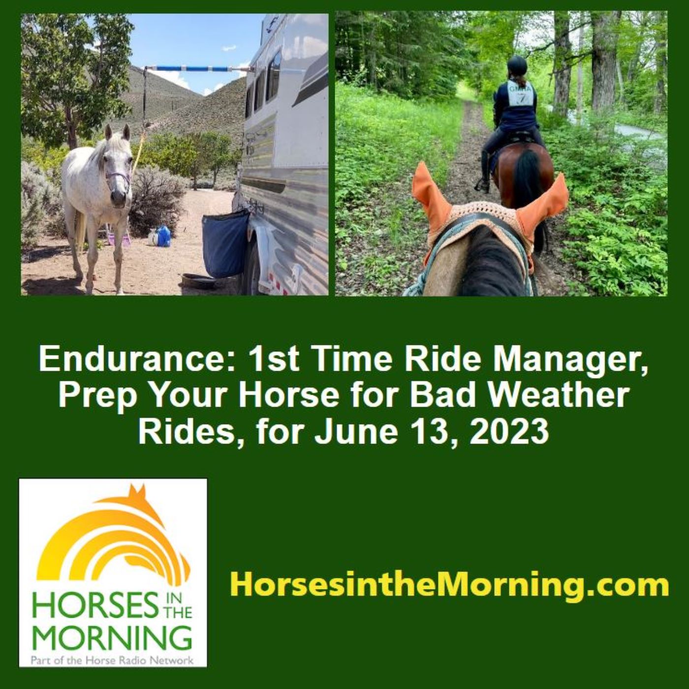 Endurance: 1st Time Ride Manager, Prep Your Horse for Bad Weather Rides, for June 13, 2023