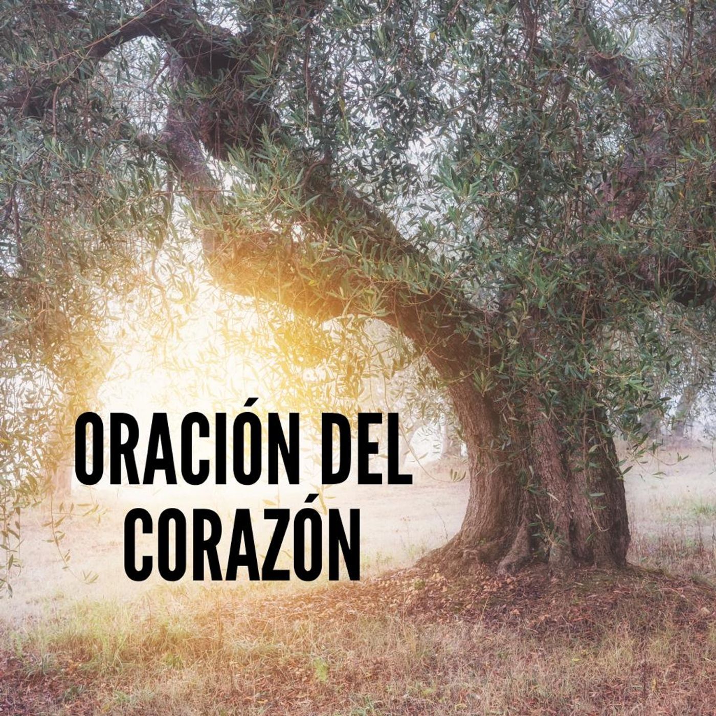 ORACIÓN DEL CORAZÓN 