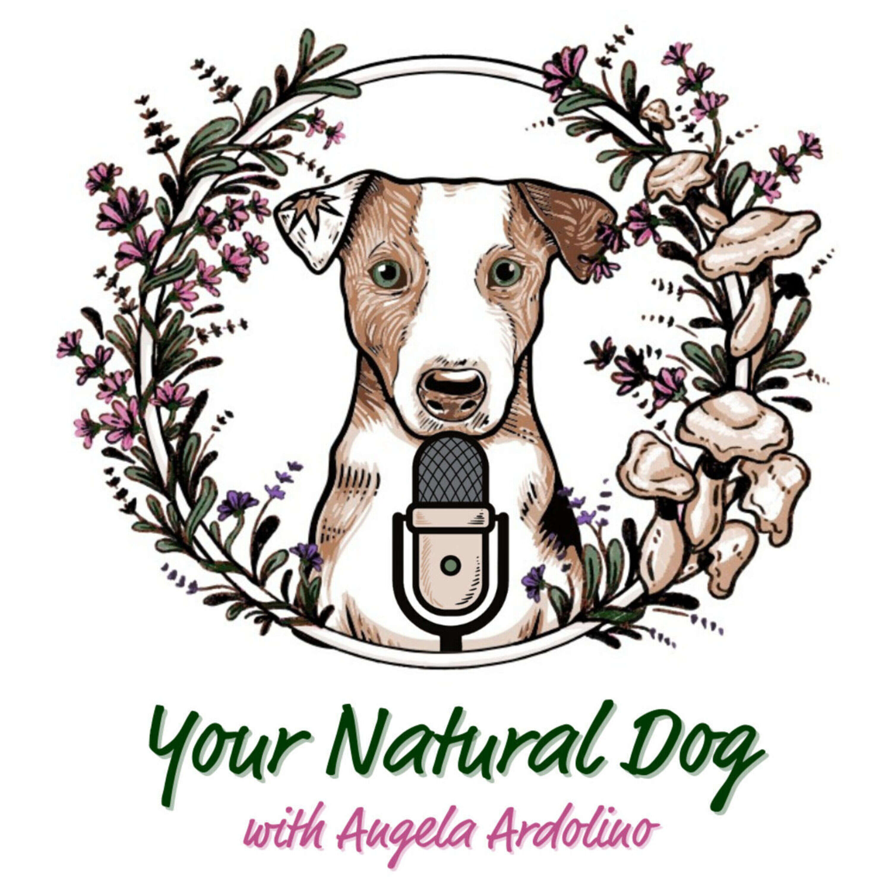 61. Preventing Choking in Dogs with Johnna Devereaux