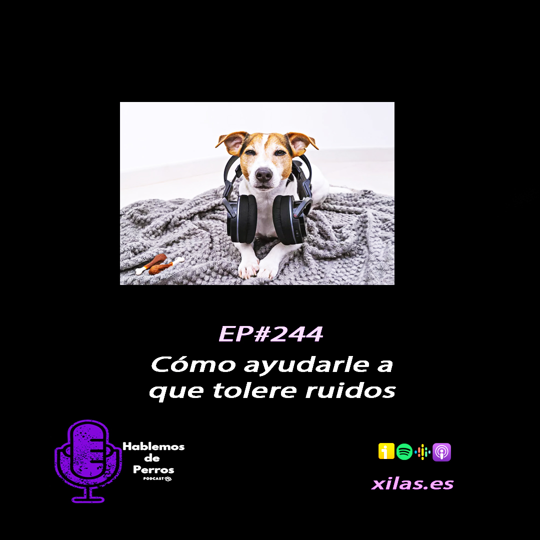 Episodio #244: Cómo ayudarle a tolerar mejor los ruidos?