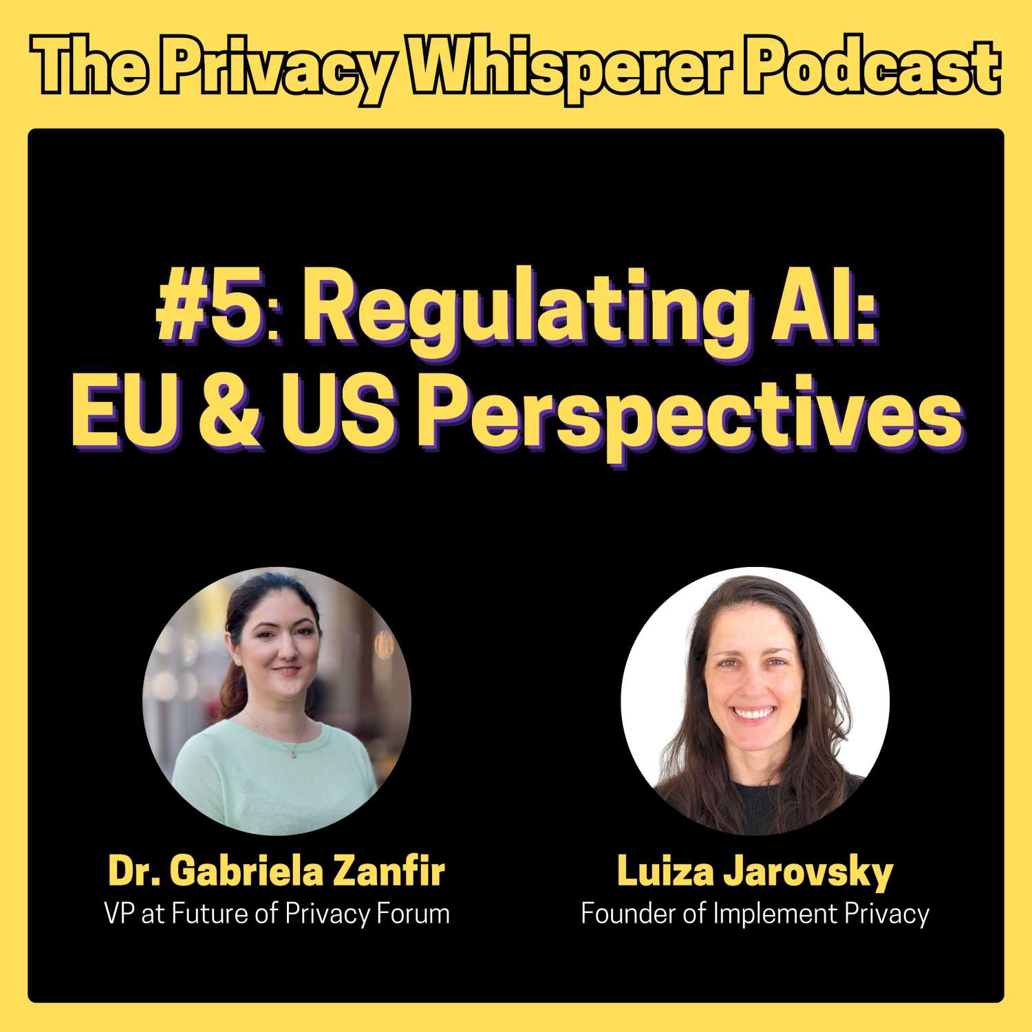 #5: Regulating AI: EU & US perspectives, with Dr. Gabriela Zanfir-Fortuna