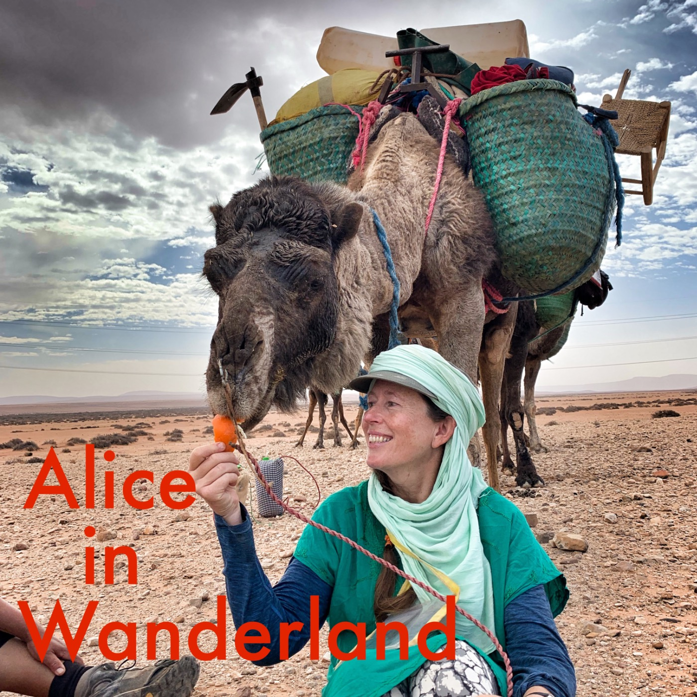 S03E11, Alice in Wanderland