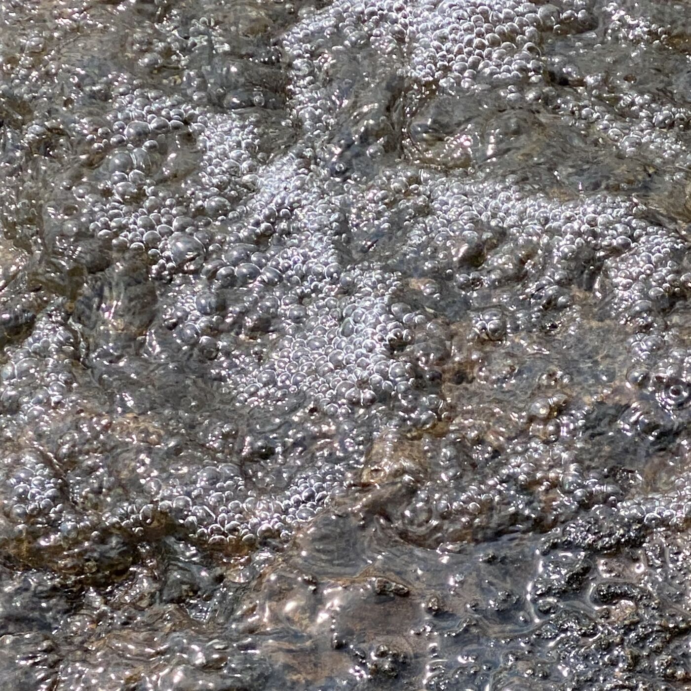 You Are So Much More 💧