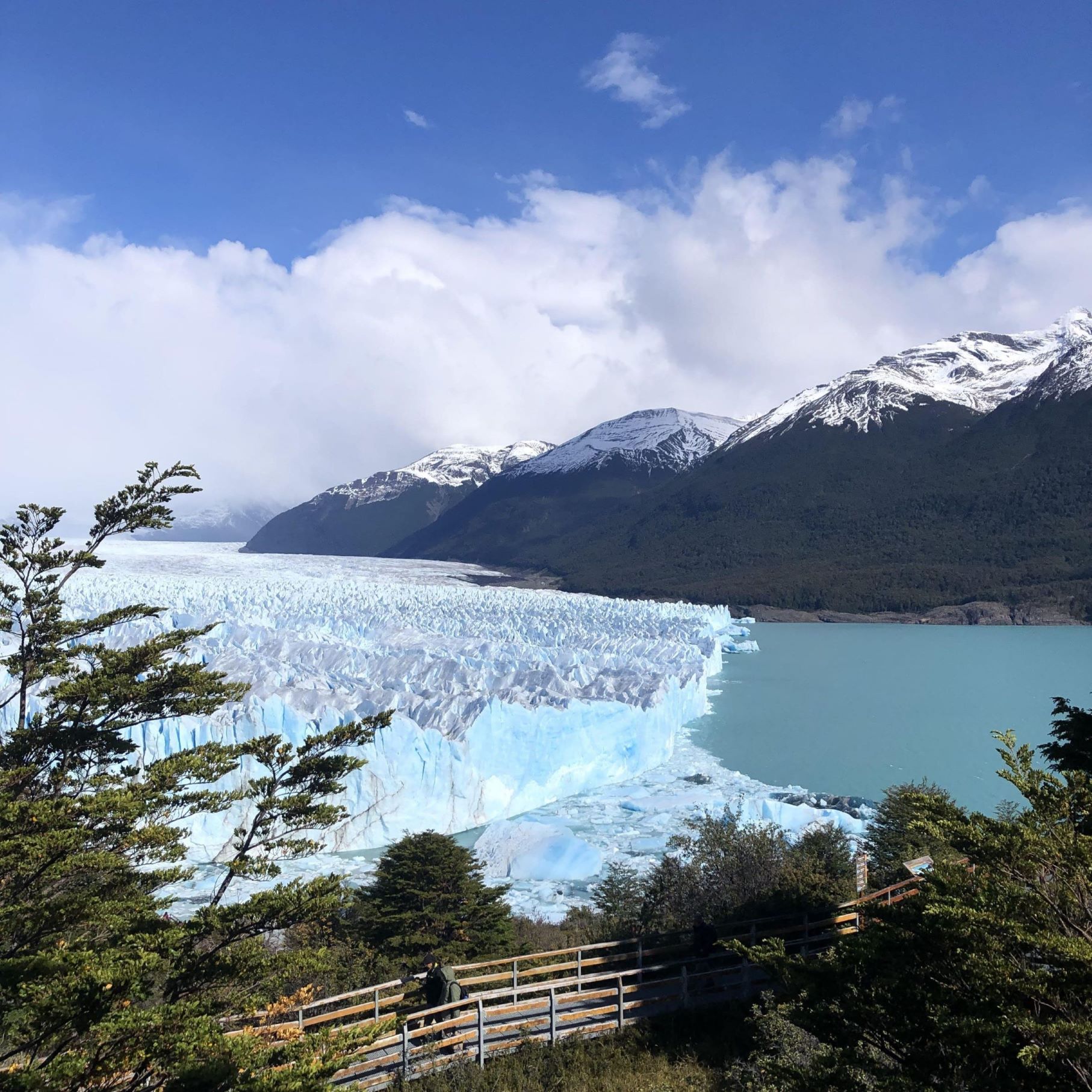 Patagonien - Flirteo con Guanacos am bewegendsten Ende der Welt!