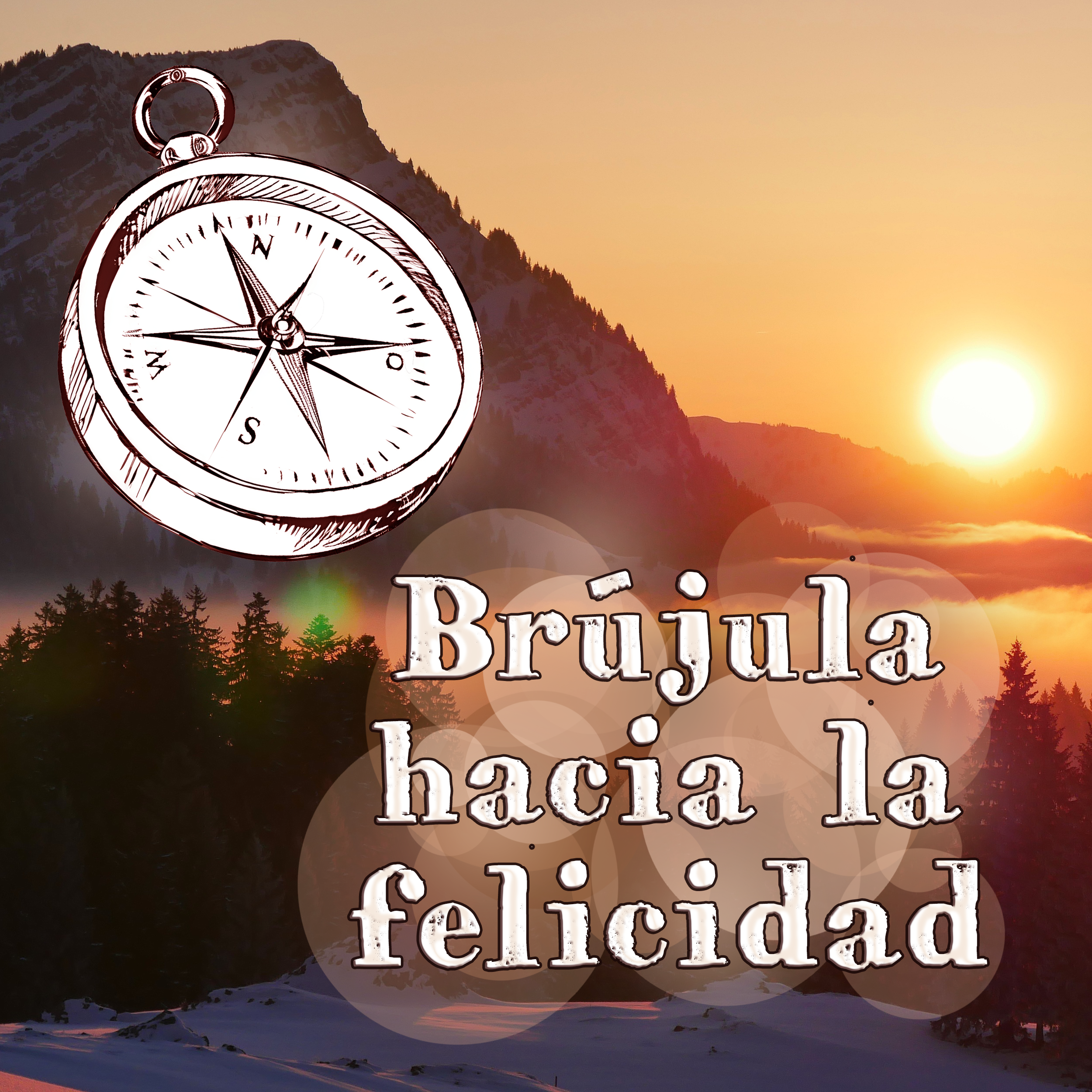 2. Qué es la felicidad y mi concepto de Brújula hacia la felicidad