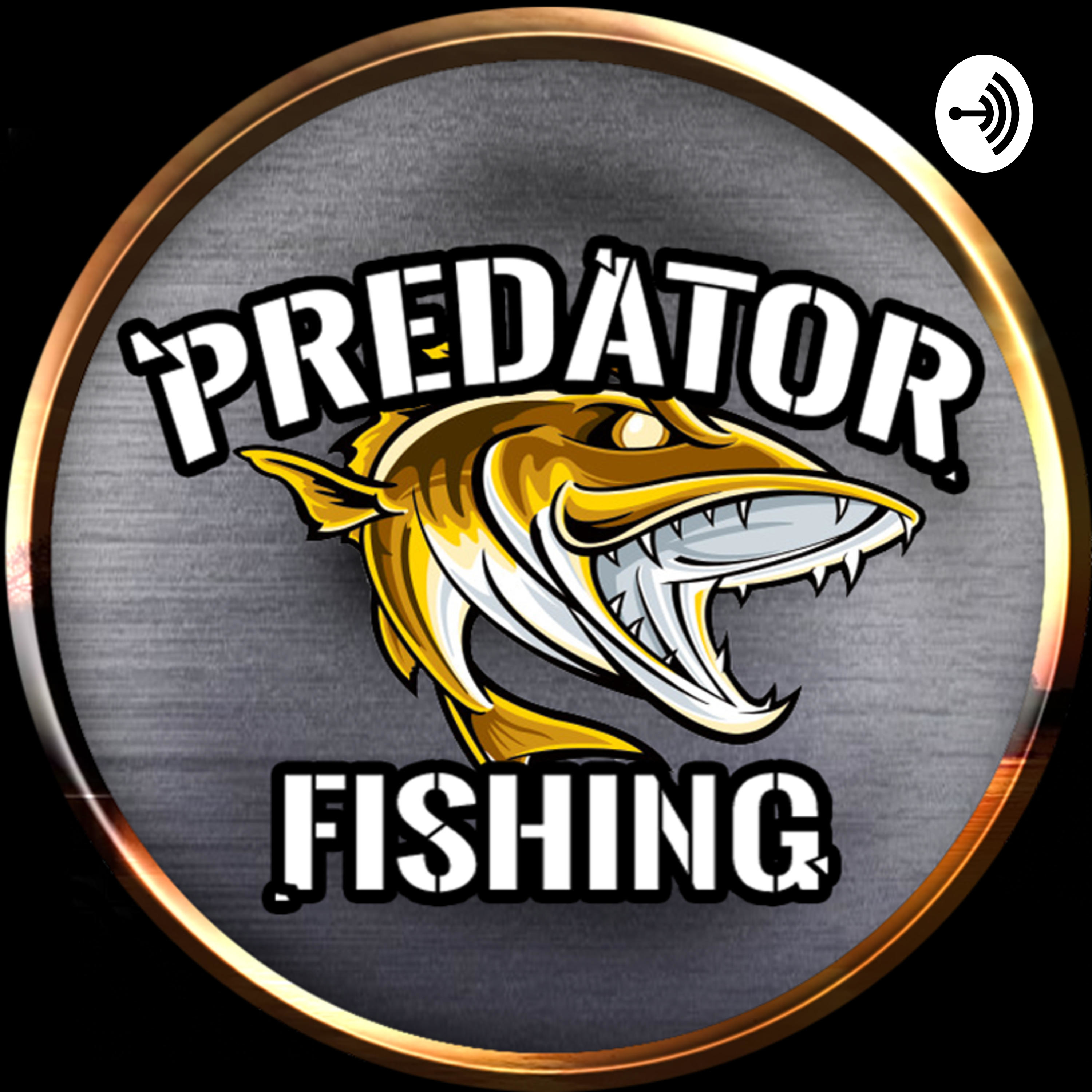 Predator Fishing | Raubfisch angeln leicht gemacht 