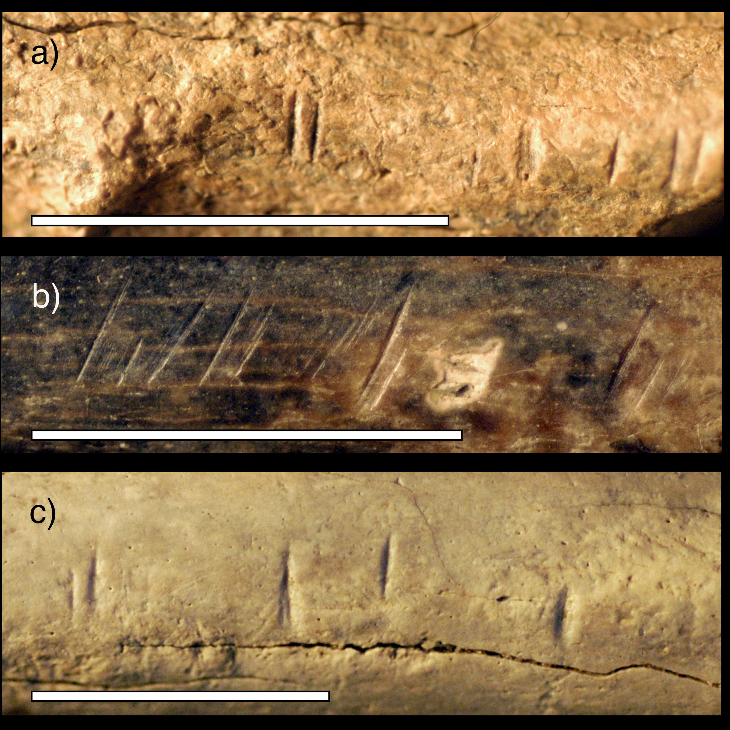 Were early humans cannibals? New research says our ancestors likely practiced the ultimate taboo