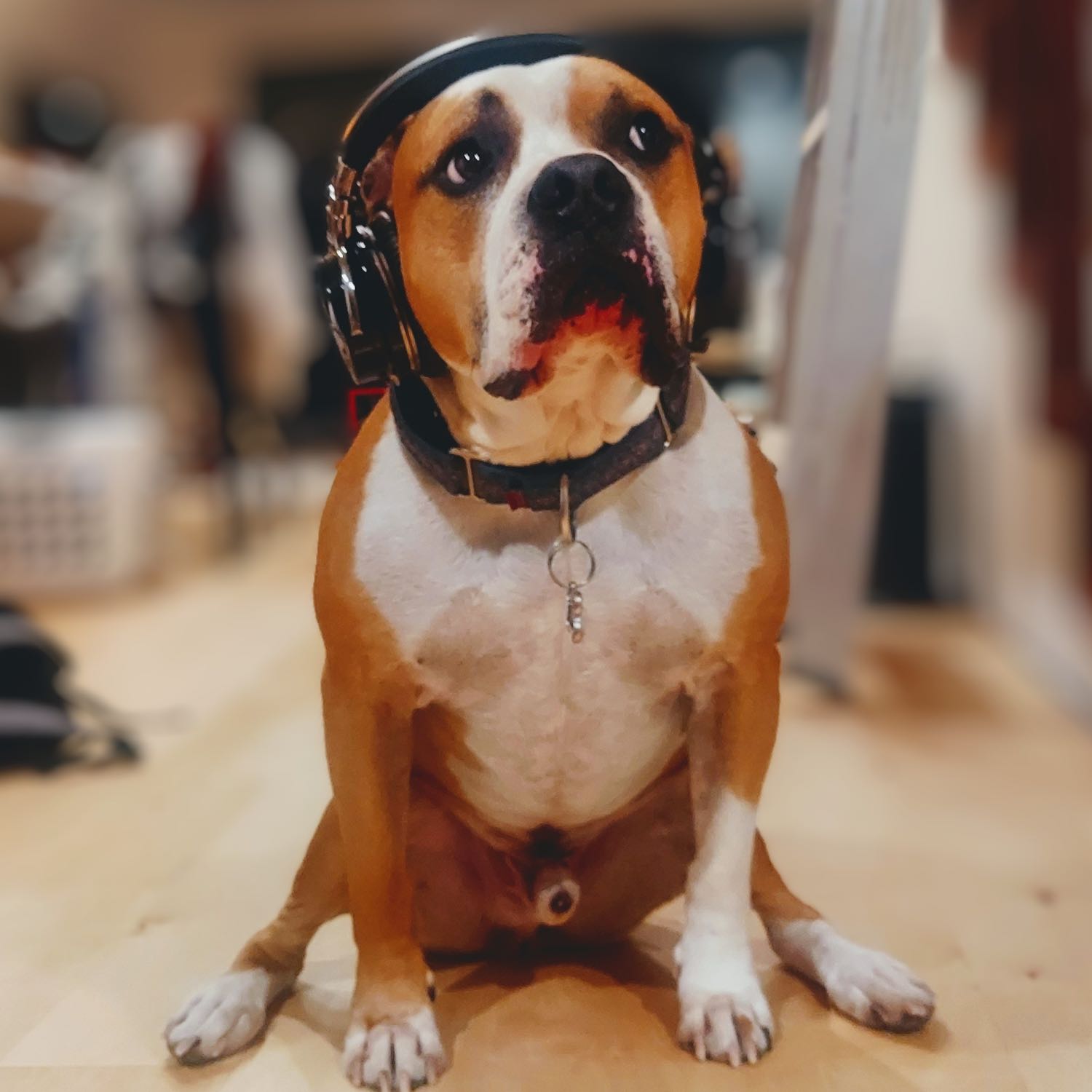 Meet &ldquo;Chisos Boots&rdquo; and &ldquo;The Chief Texan&rdquo; Will Roman