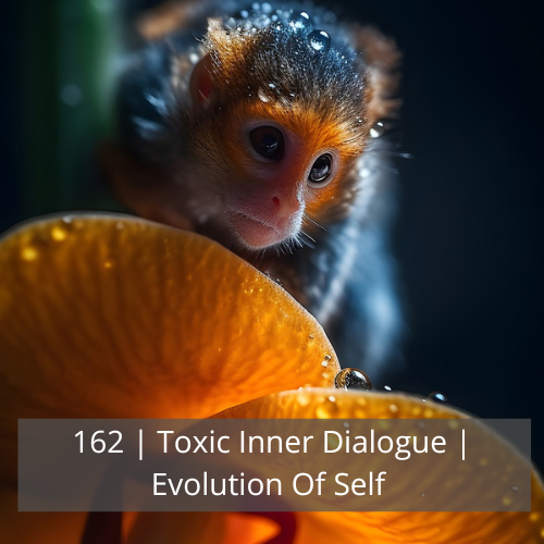 162 | Toxic Inner Dialogue | Evolution Of Self