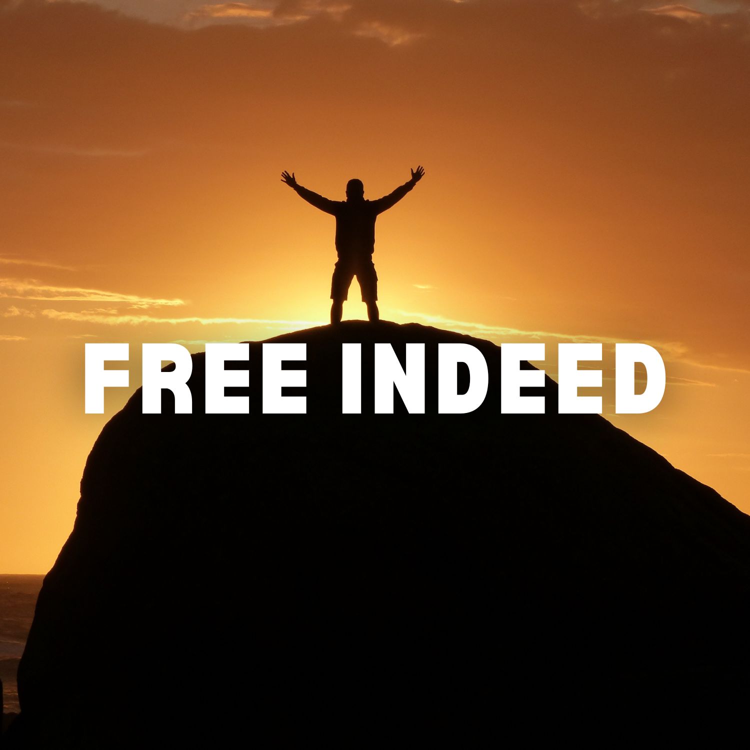 Free Indeed - Part 14