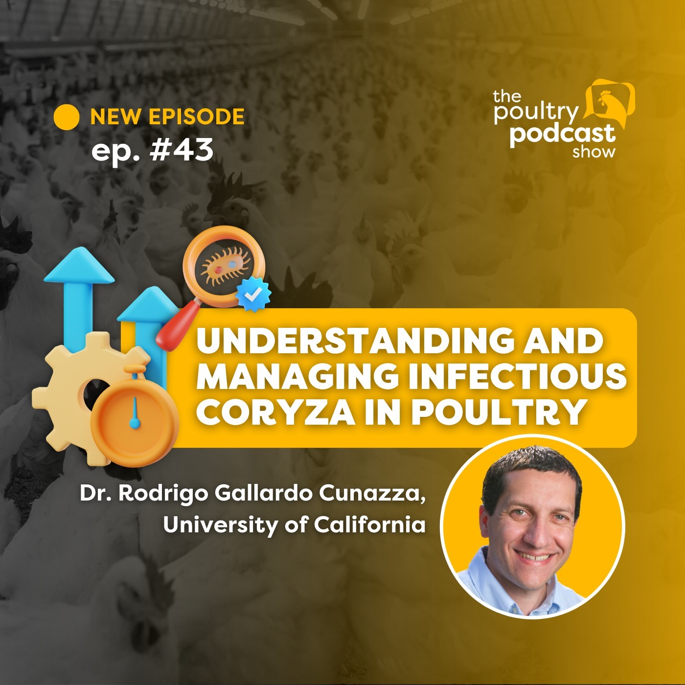 #43 - Understanding and Managing Infectious Coryza in Poultry - Dr. Rodrigo Gallardo Cunazza