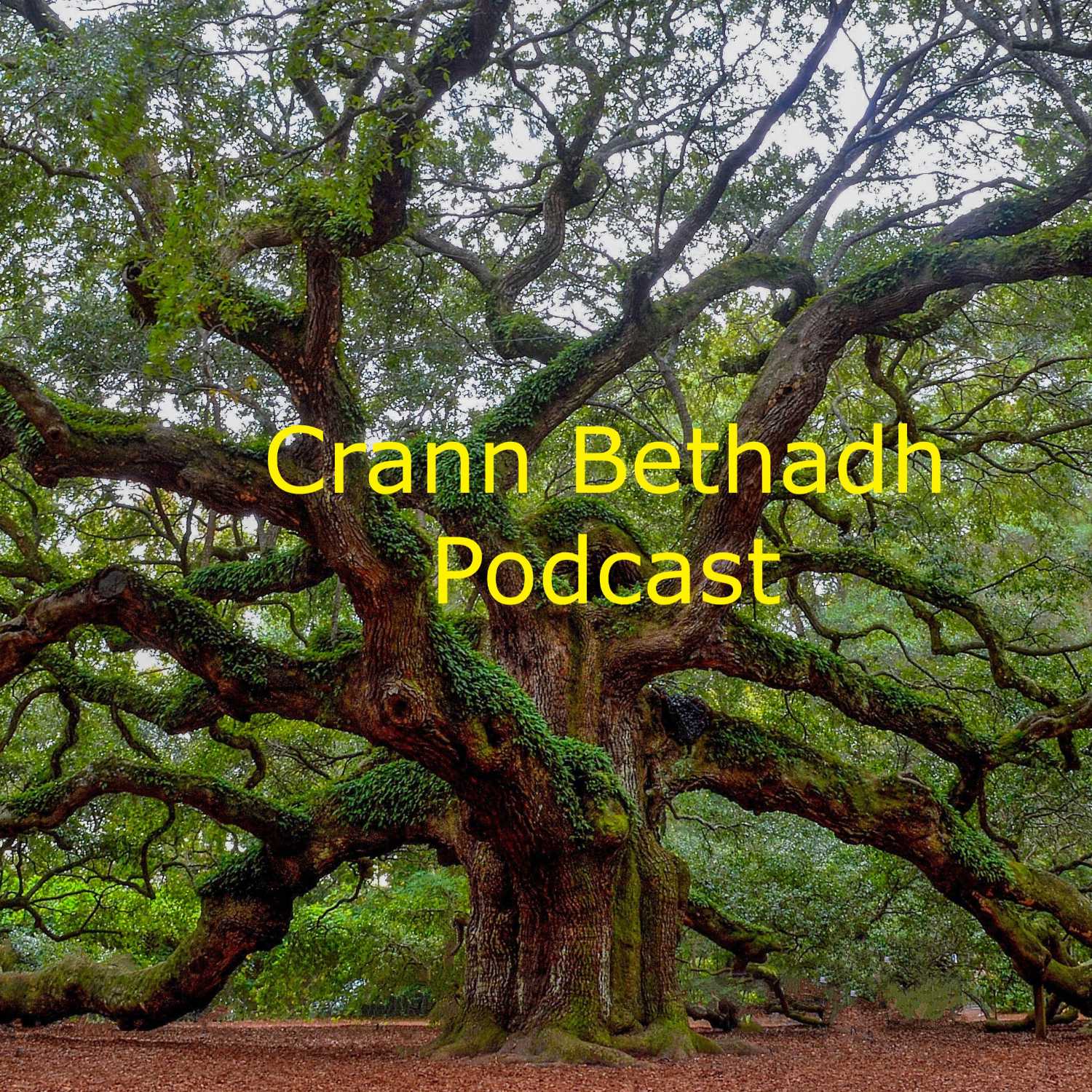 The Crann Bethadh Podcast for June 7, 2023