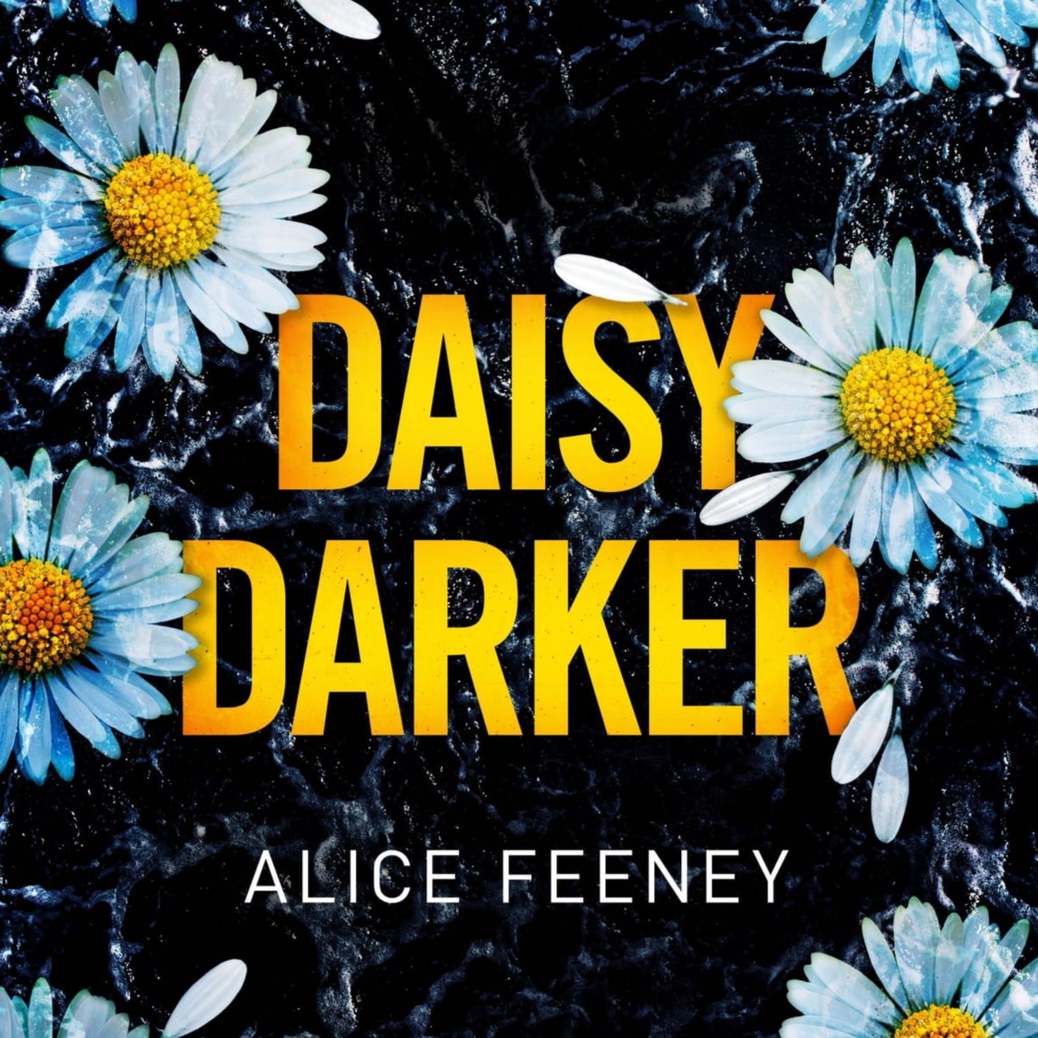 Daisy Darker