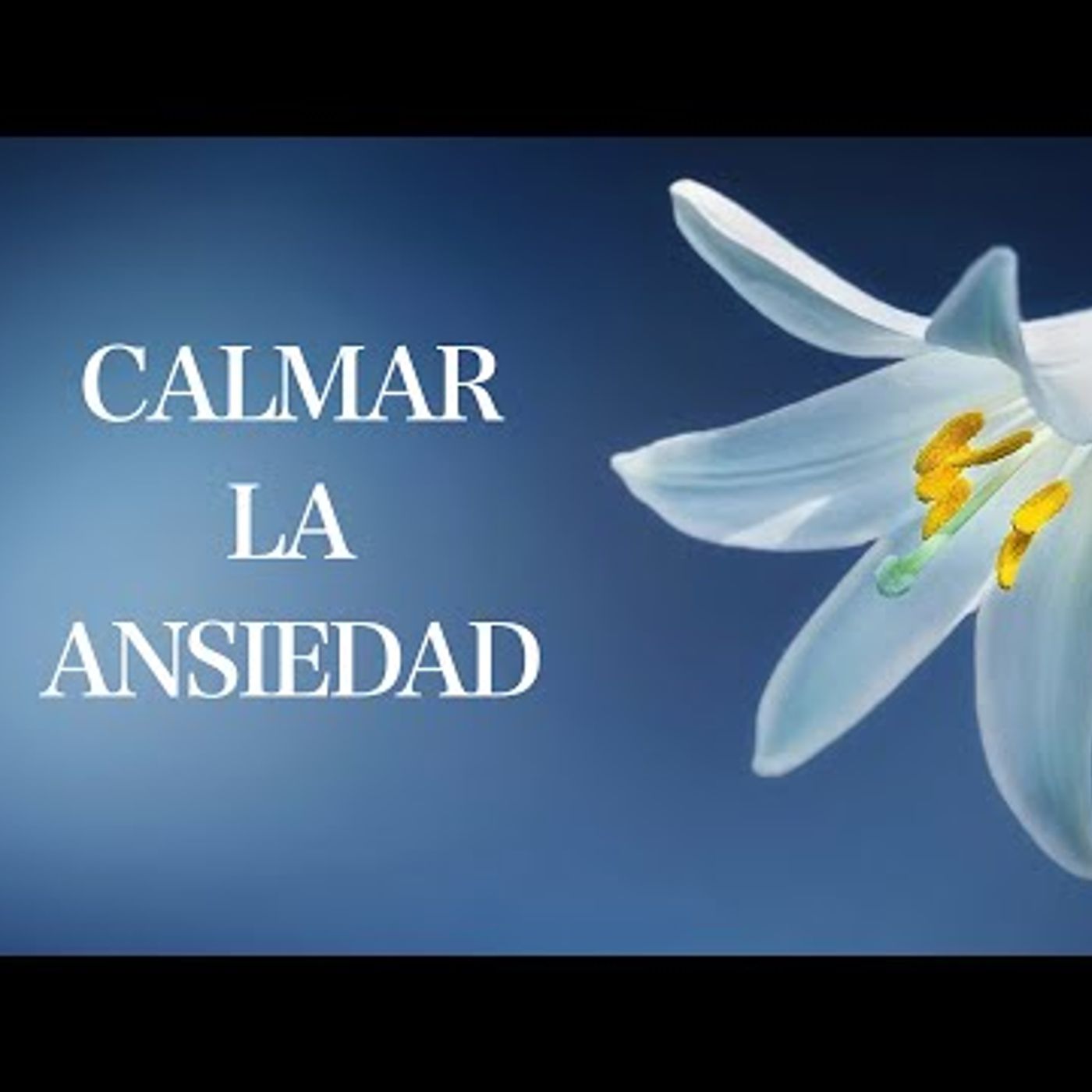 Meditación Guiada para la Ansiedad