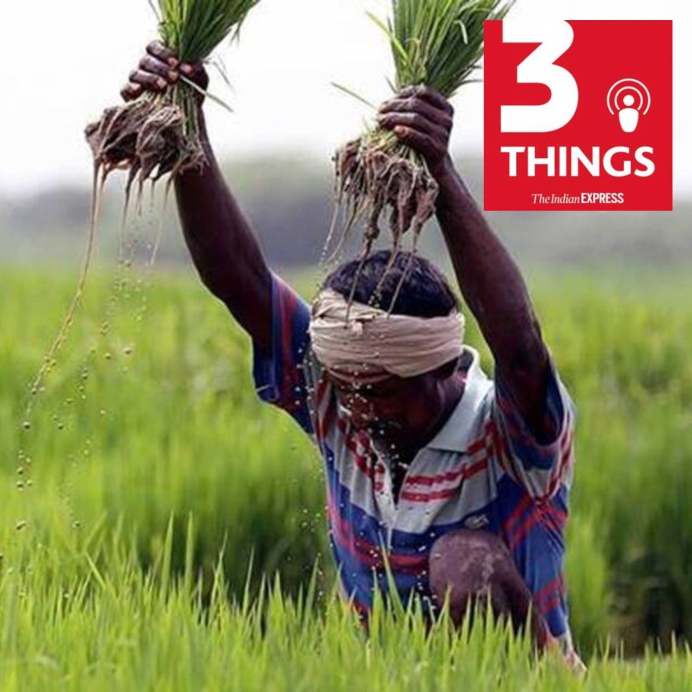 Food security concerns, Karnataka rice row, and regulating OTT platforms