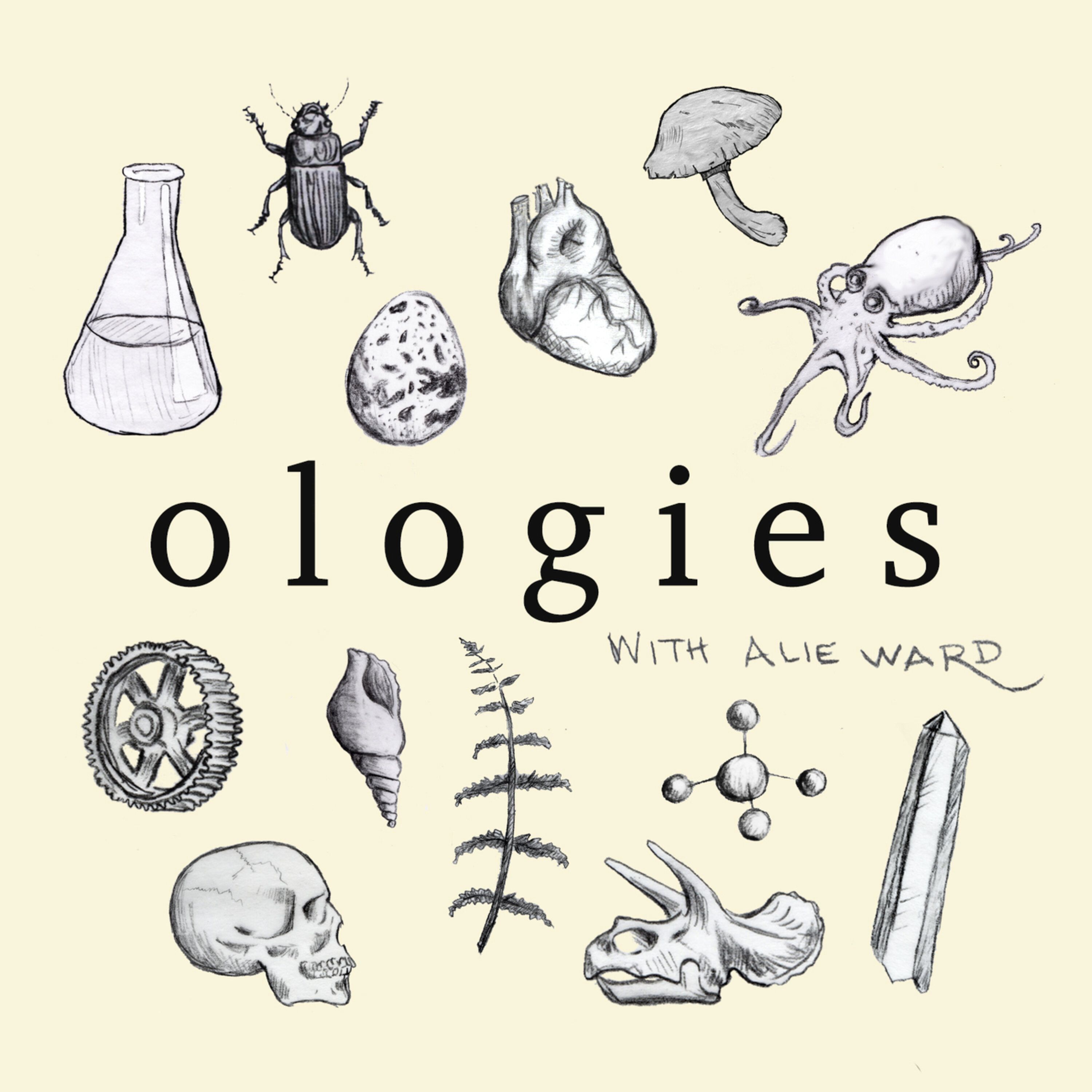 Smologies #23: MAMMALS with Danielle N. Lee