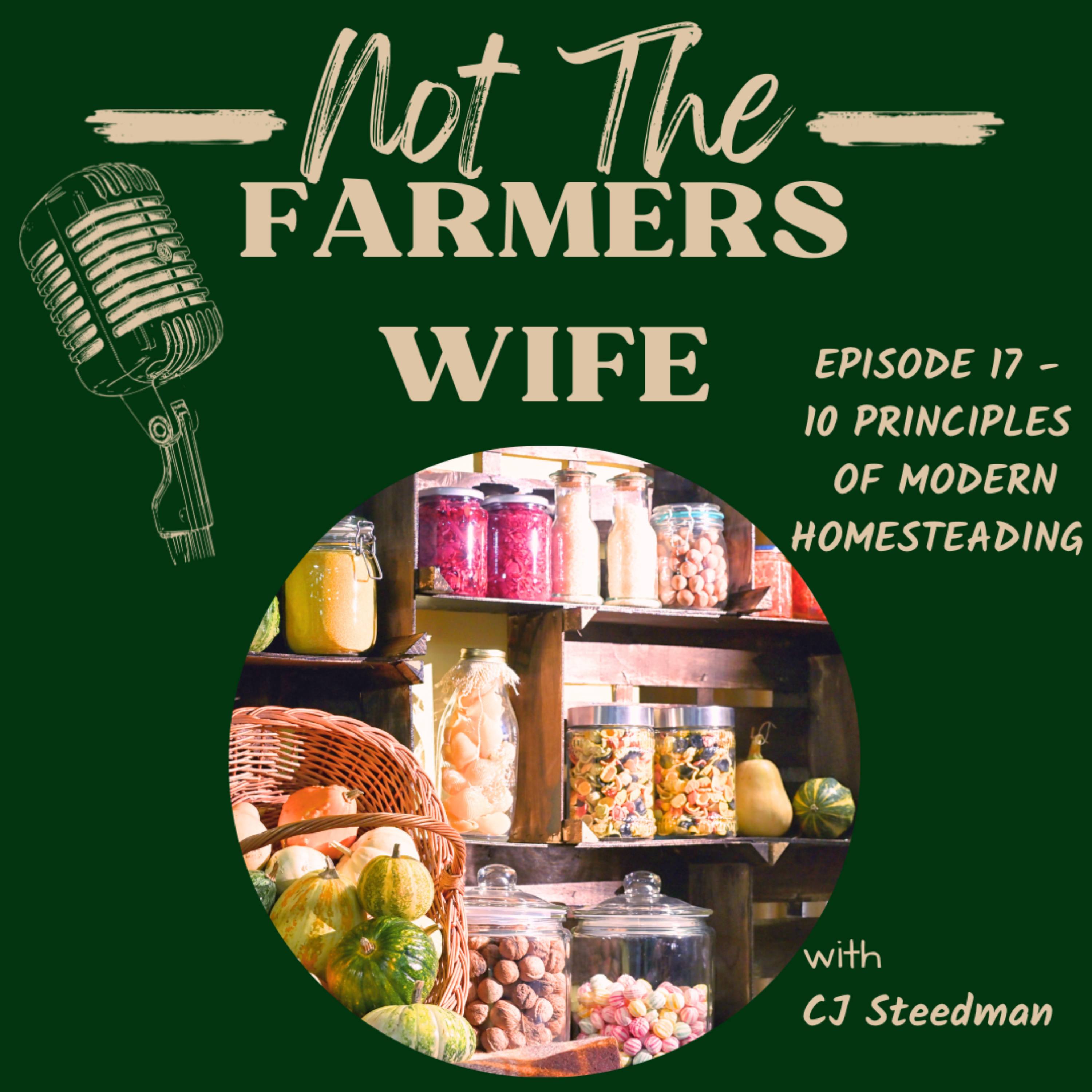 Episode 17 - 10 Principles of Modern Homesteading