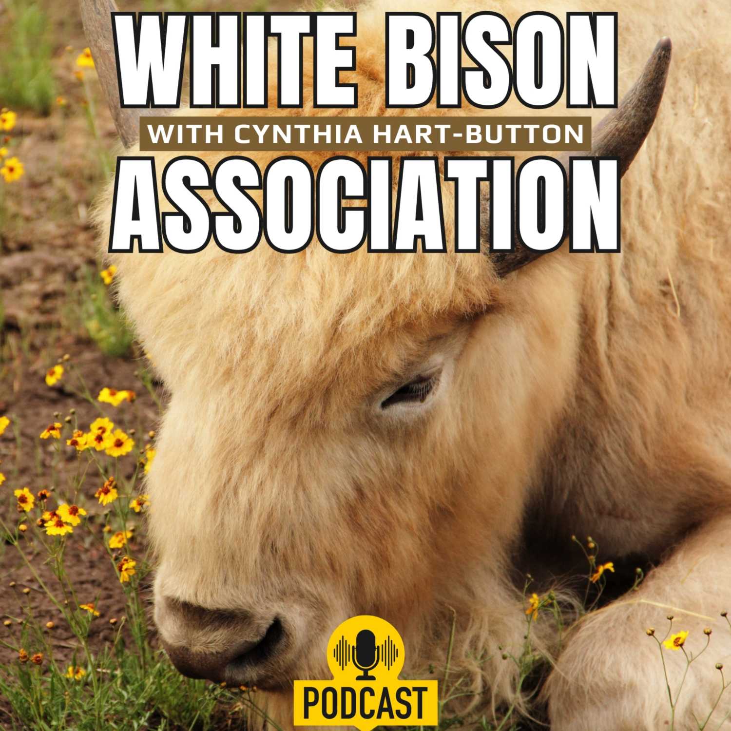 The White Bison Association