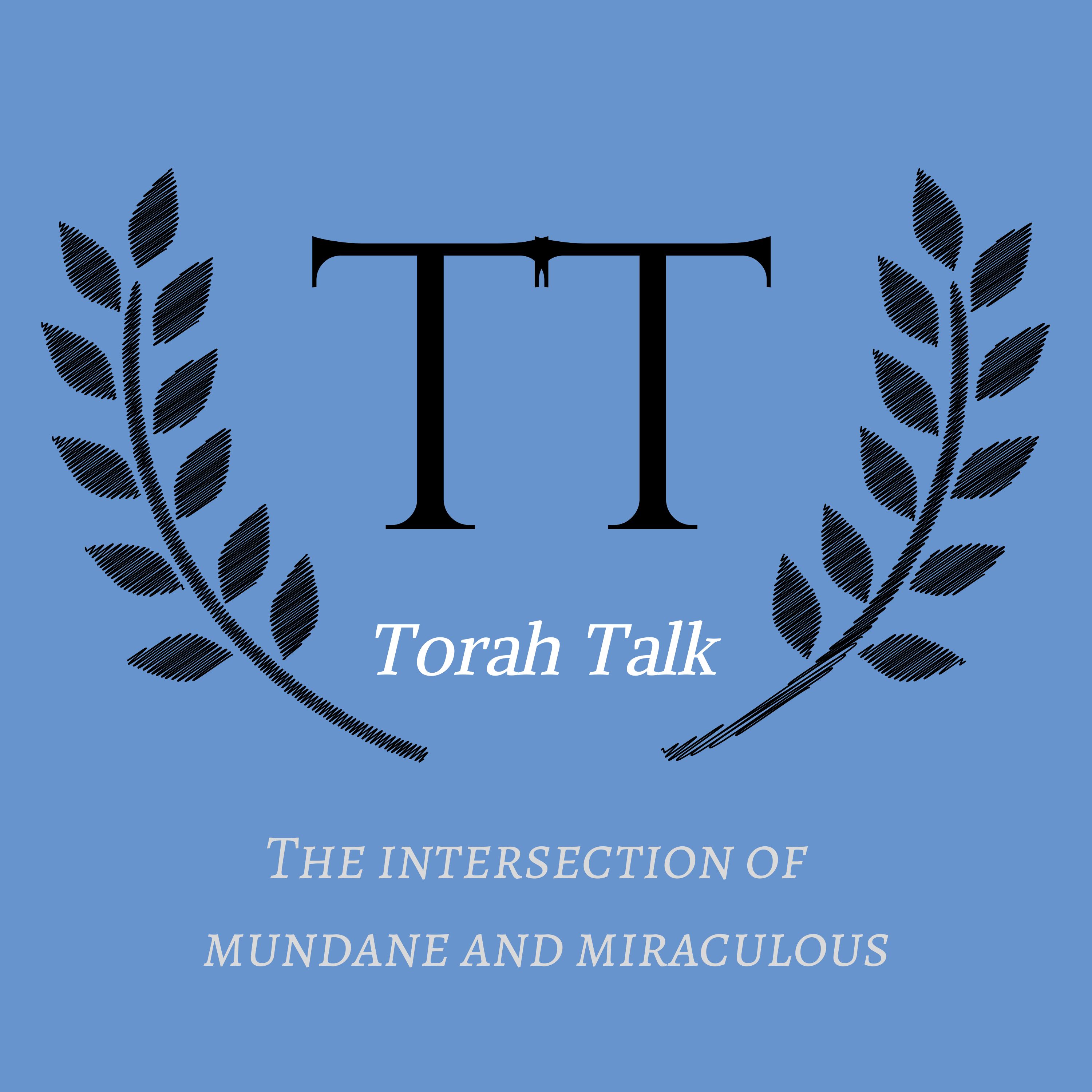 Torah Talk 