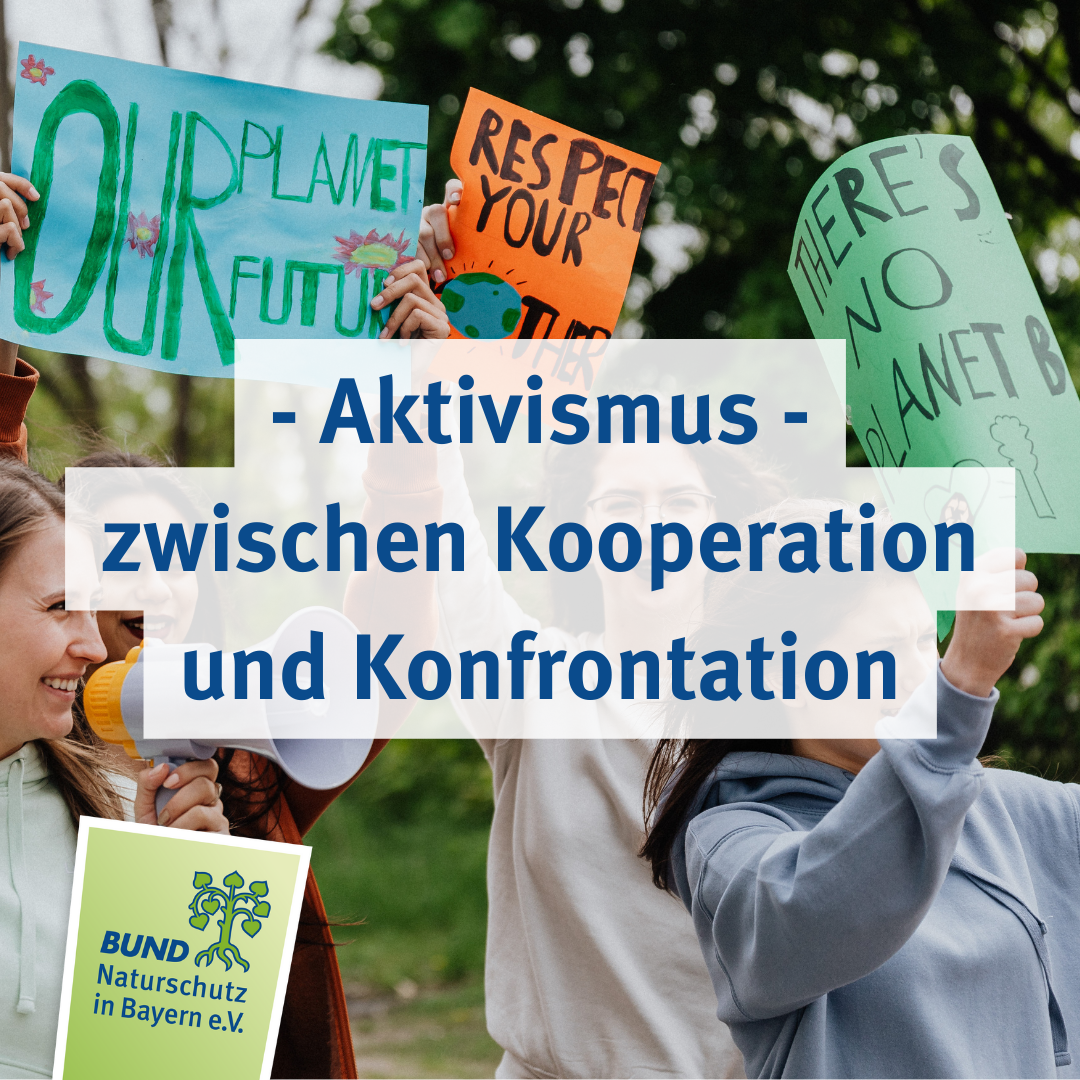 ⁣Teil 3: Aktivismus – zwischen Kooperation und Konfrontation