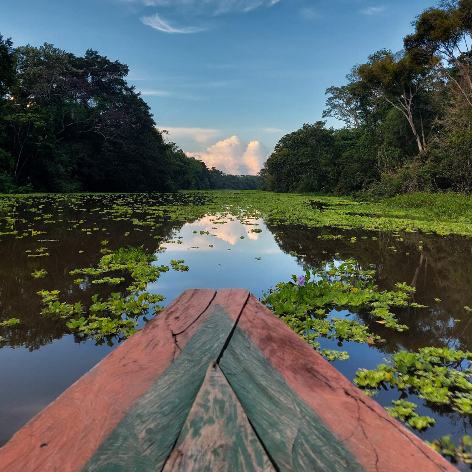 Amazonas - Von Iquitos in die tosende Stille des peruanischen Dschungels!