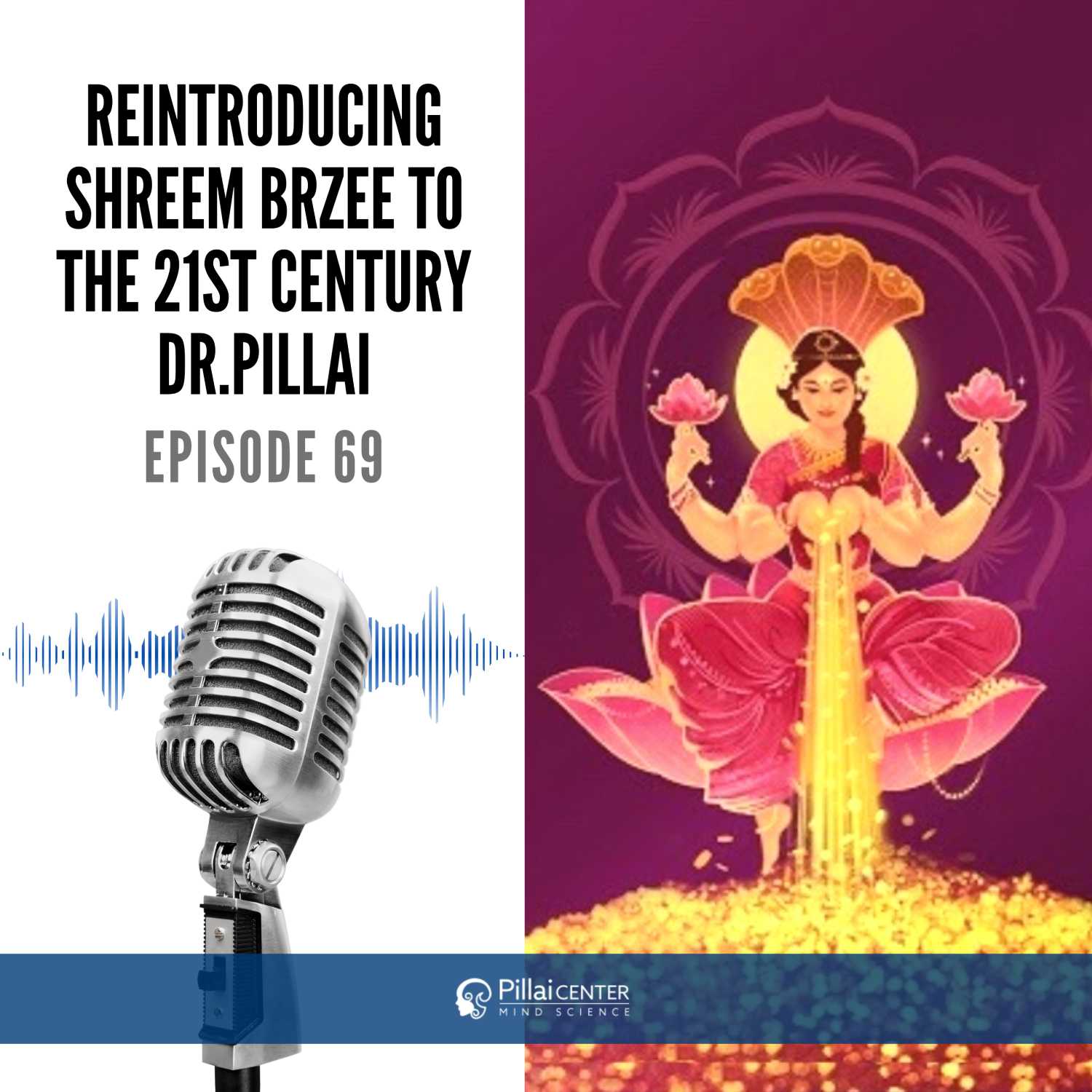 Reintroducing Shreem Brzee To The 21st Century - Dr. Pillai