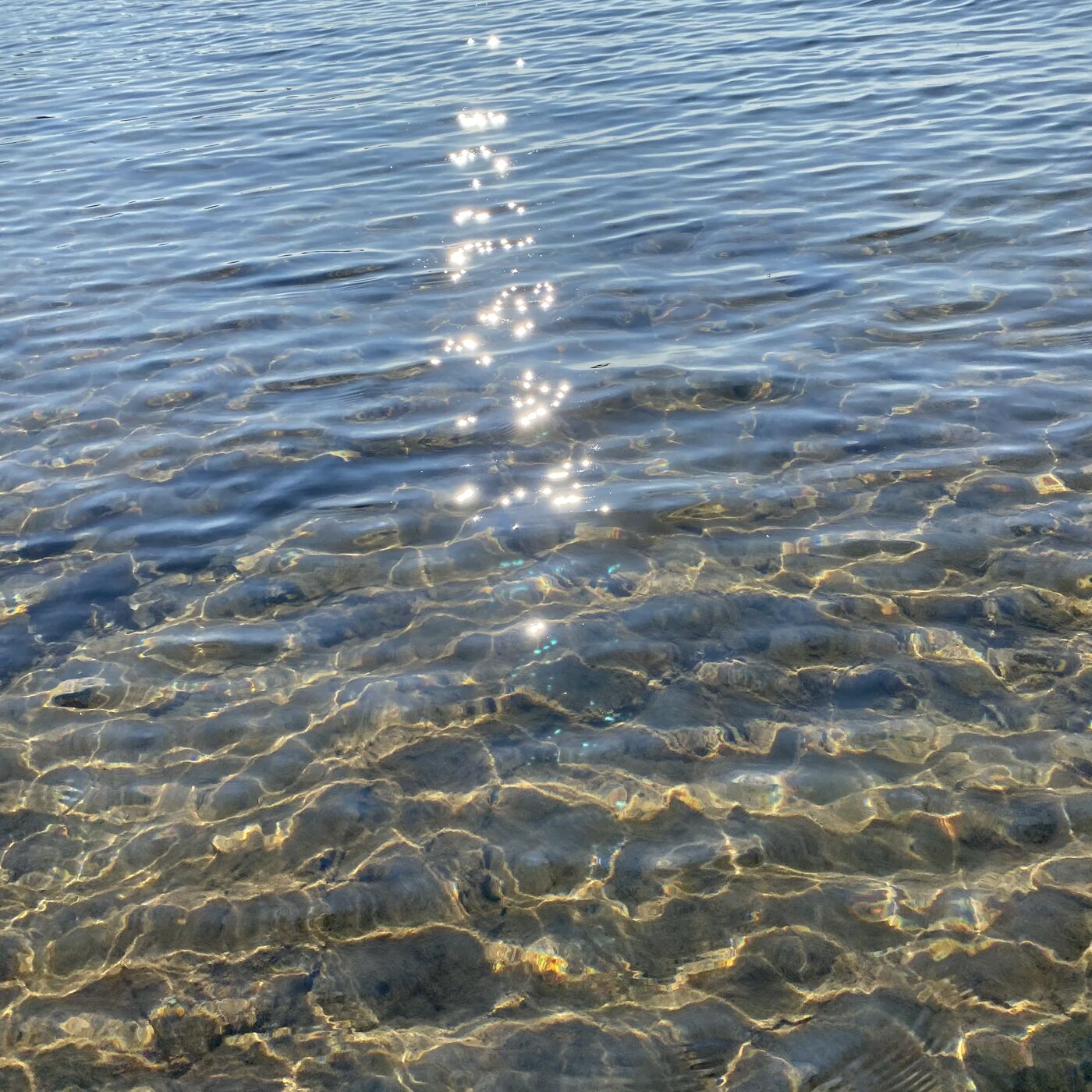 The Refuge of Our Hearts