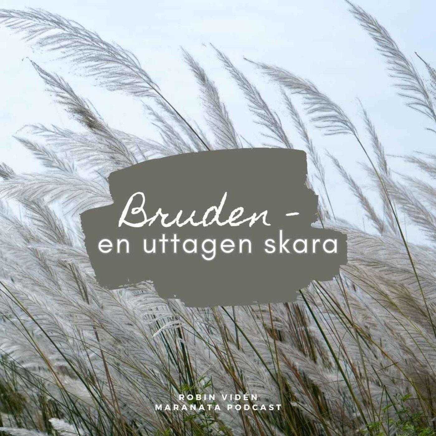 Bruden - en uttagen skara