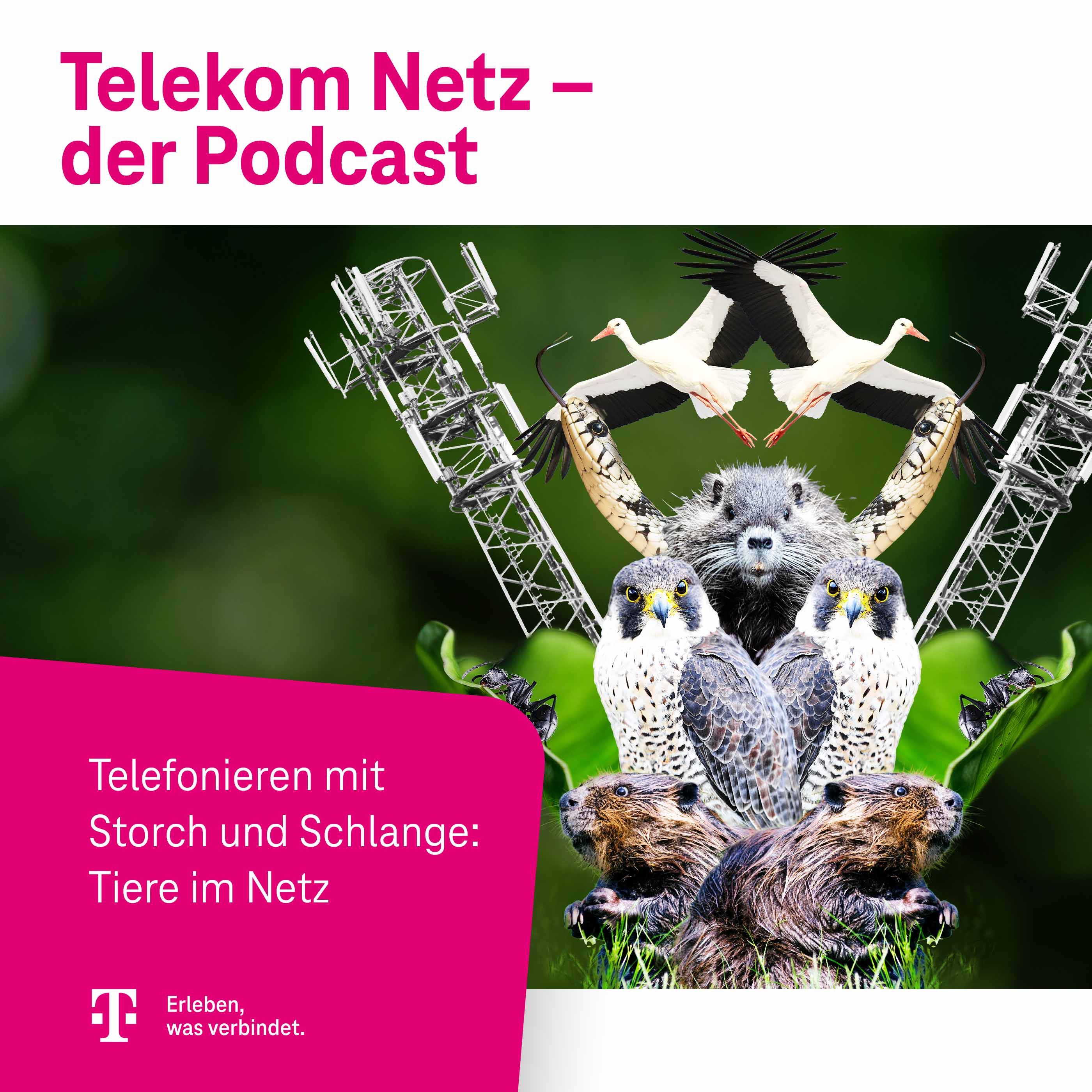 ⁣Episode 148 – Tierisch spannend: Ungewöhnliche Geschichten aus dem Telekom Netz