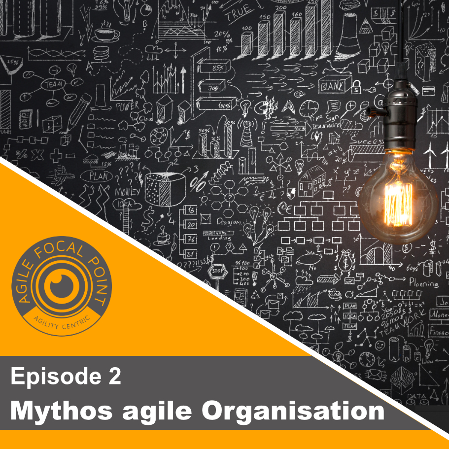 Mythos agile Organisation