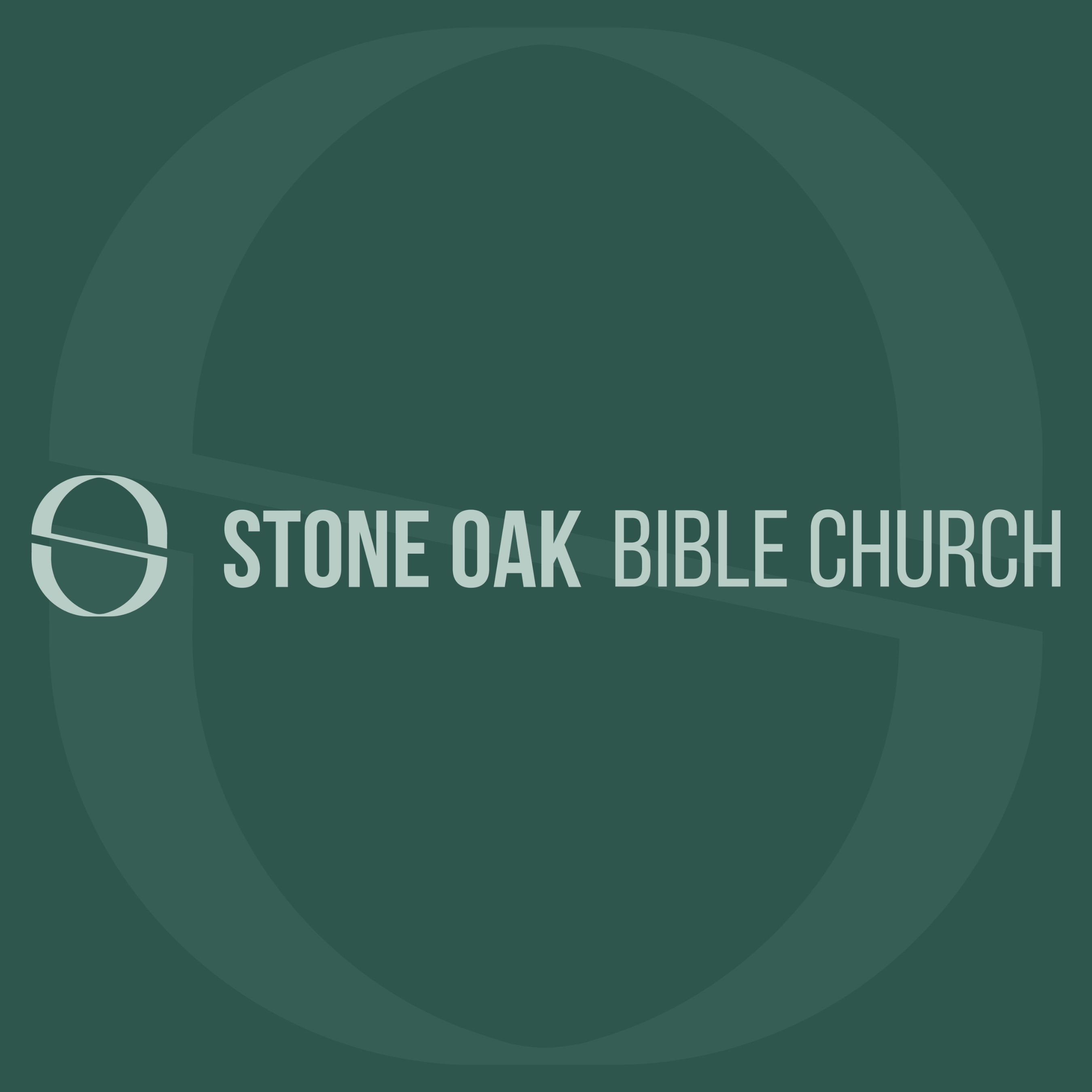 Stone Oak Bible 