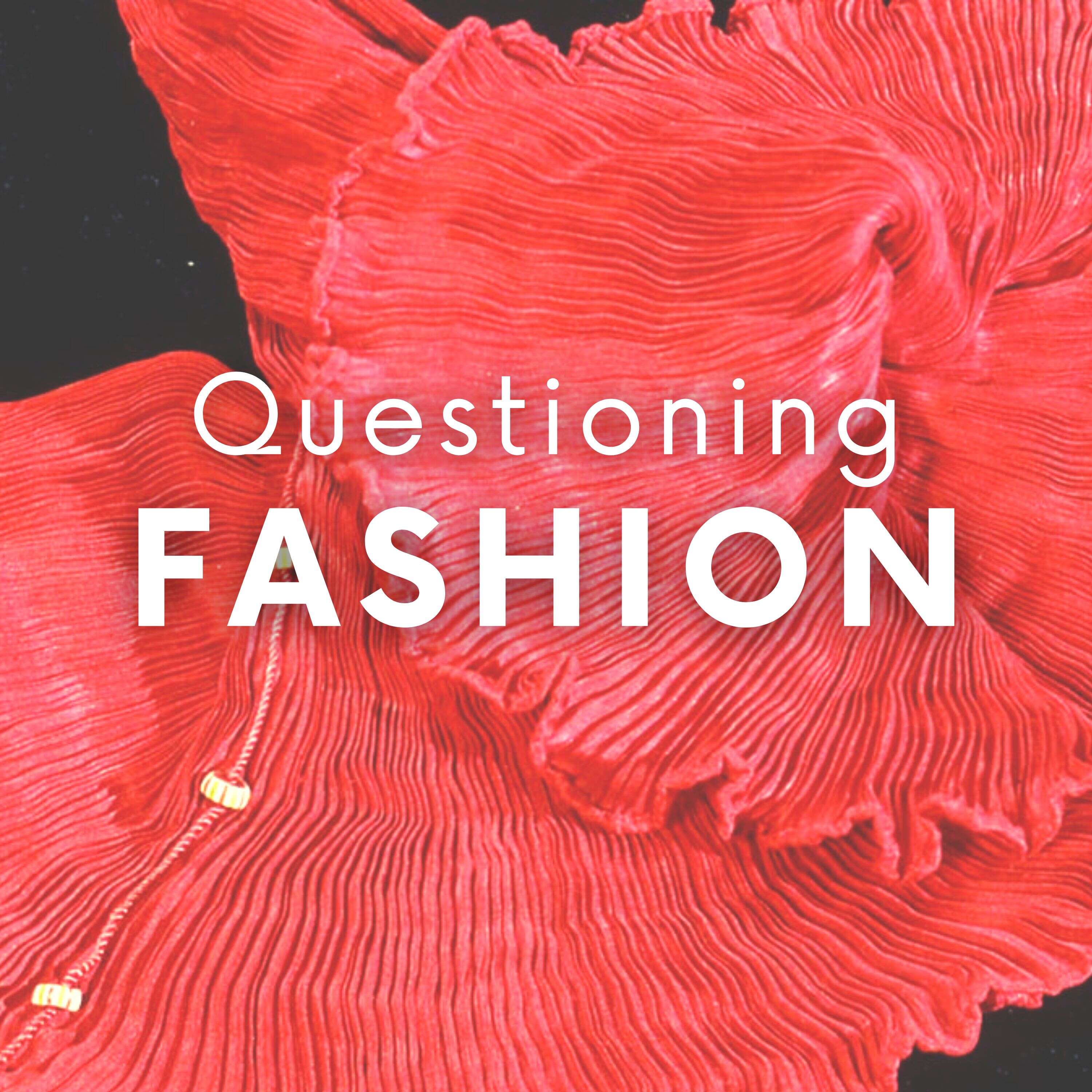 Questioning Fashion 