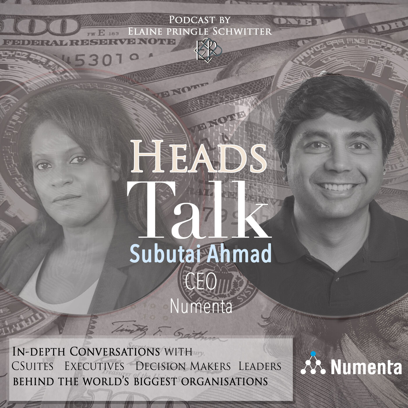 152 - Subutai Ahmad CEO: Neurotech Series - Numenta, Future of Intelligent Computing