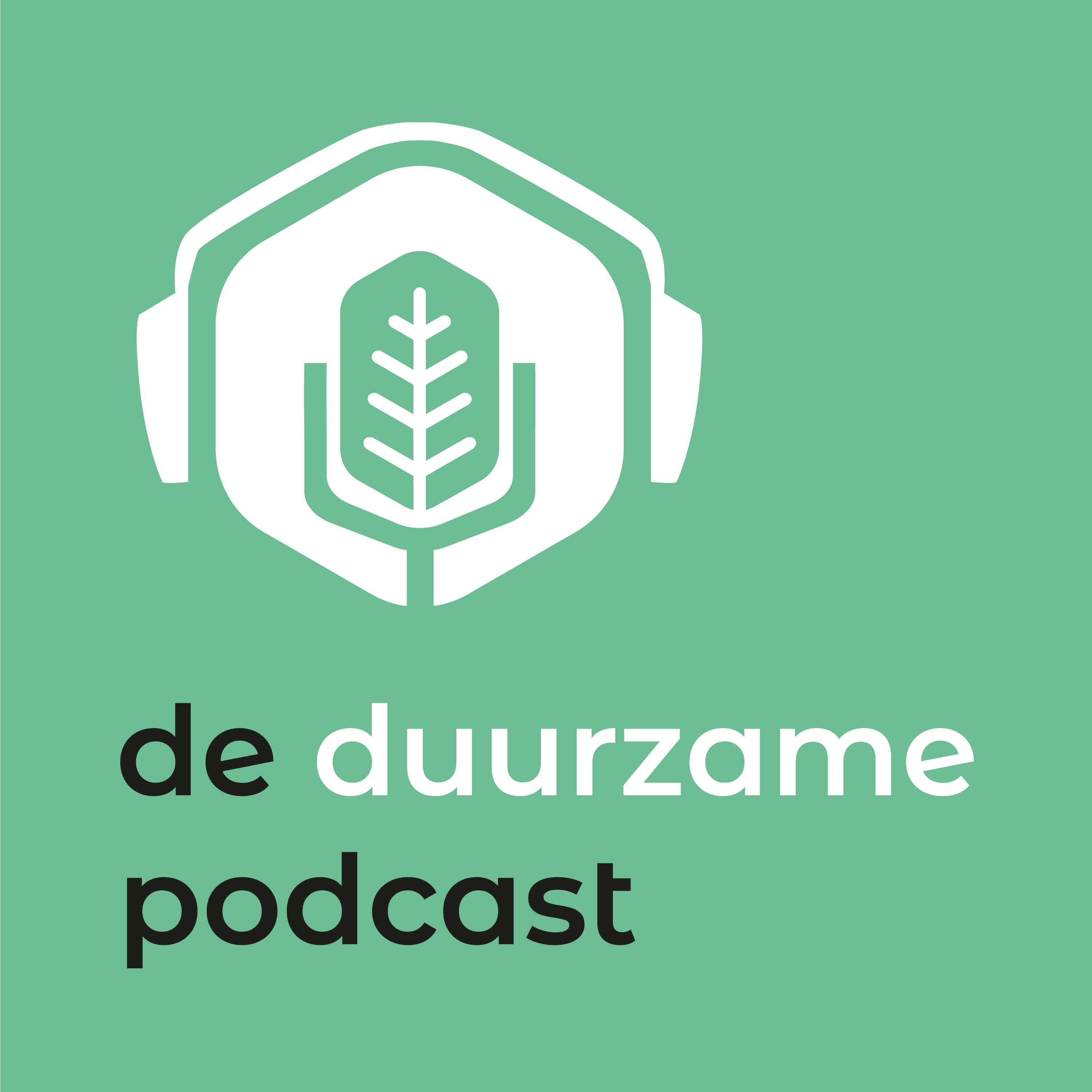 DDP63 – Bomen in steden redden levens – Rob Hollemans (BomenCampus)