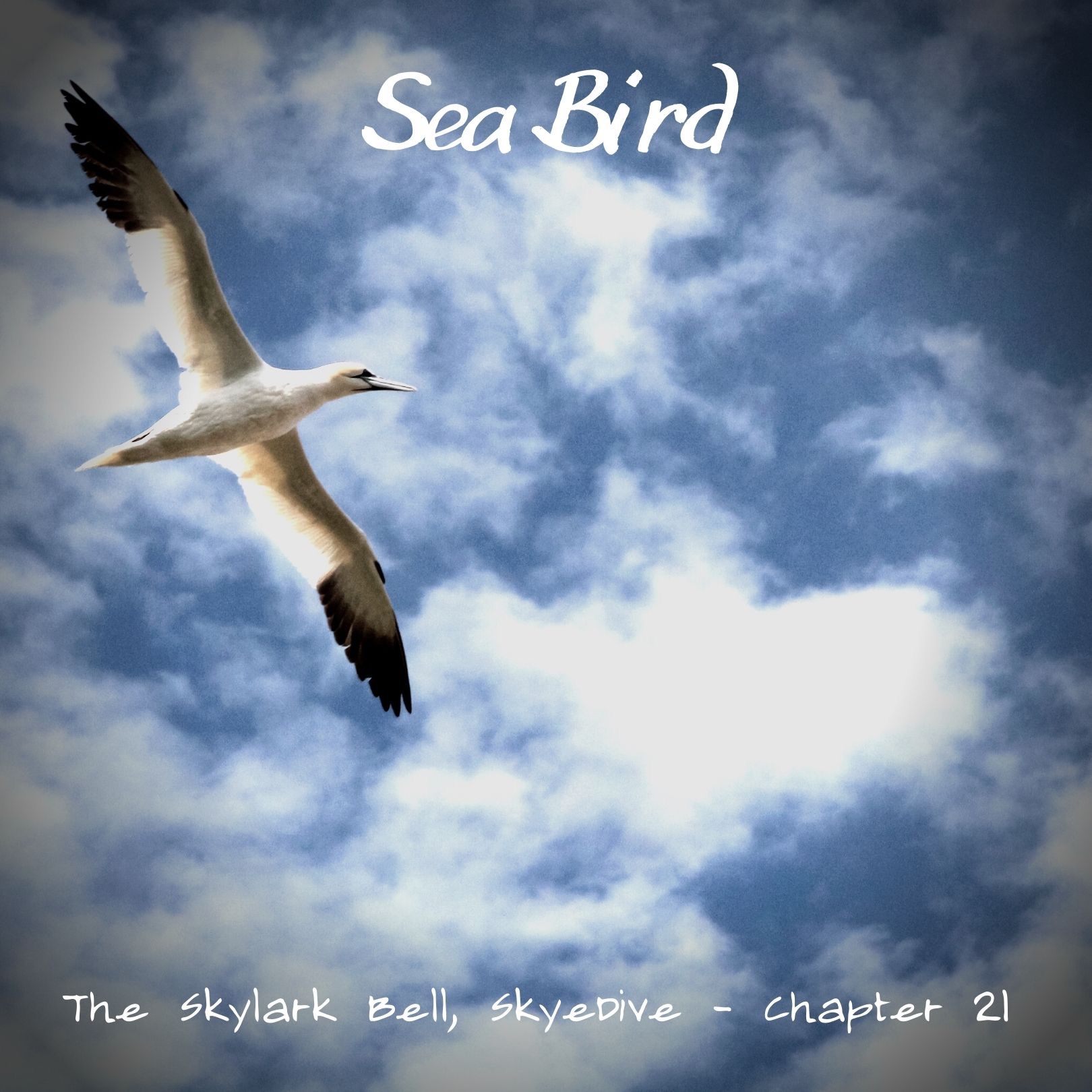 Skyedive - Chapter 21, Sea Bird