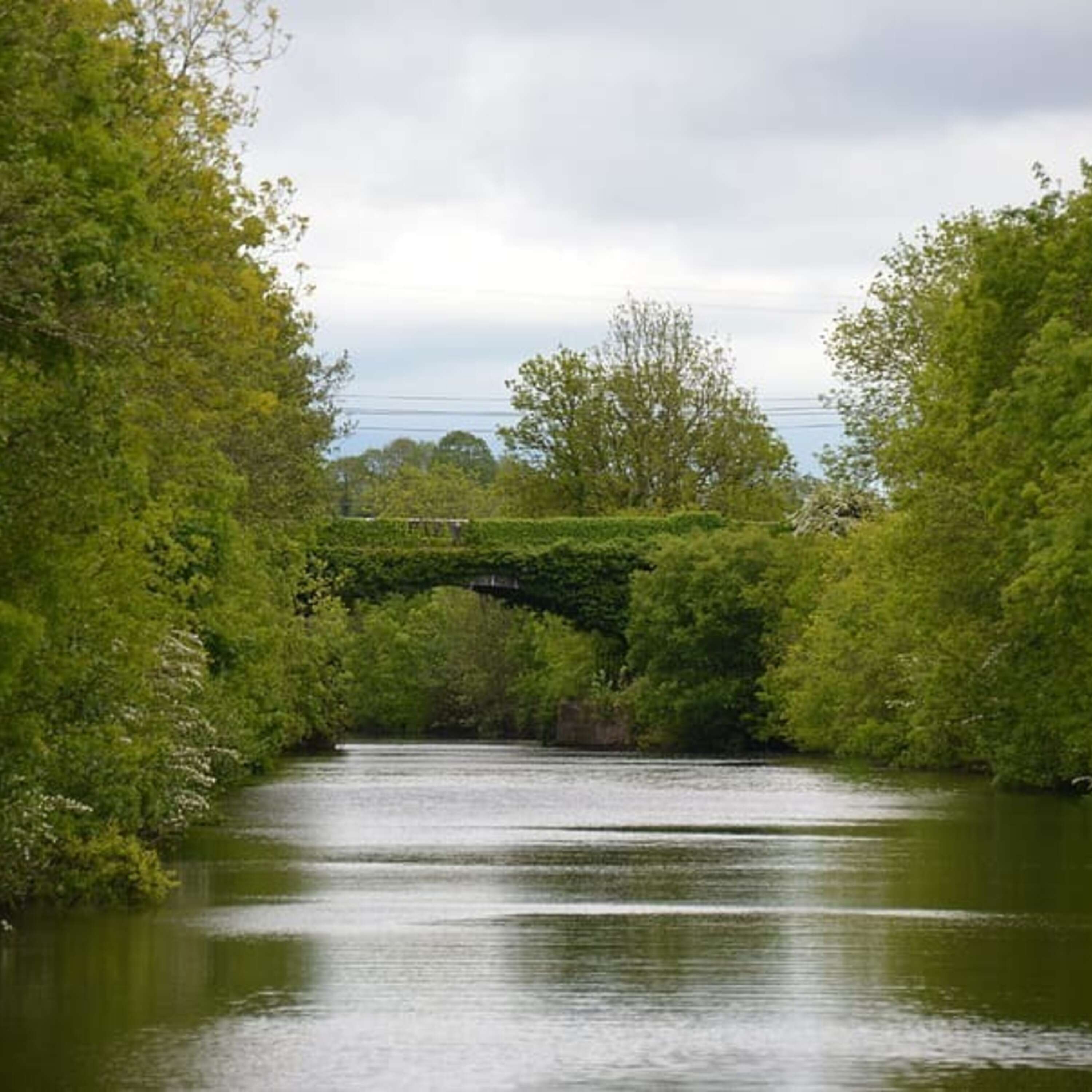 With nitrogen levels increasing in rivers, what will it mean for our fishing?