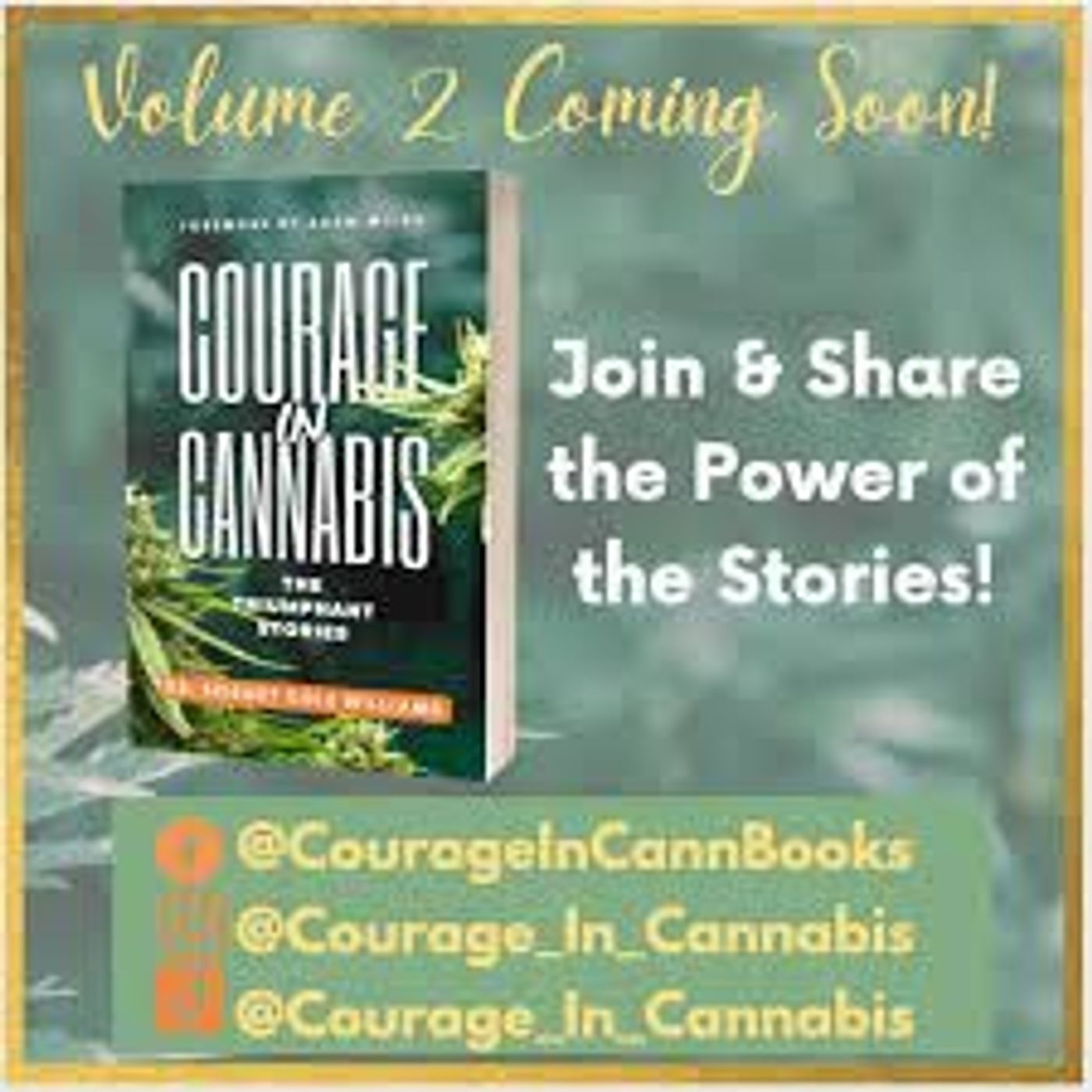 Courage In Cannabis Anthology Volume 2 Authors