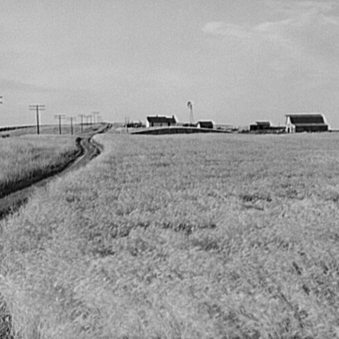 A Reading of NEBRASKA by Mari Sitner