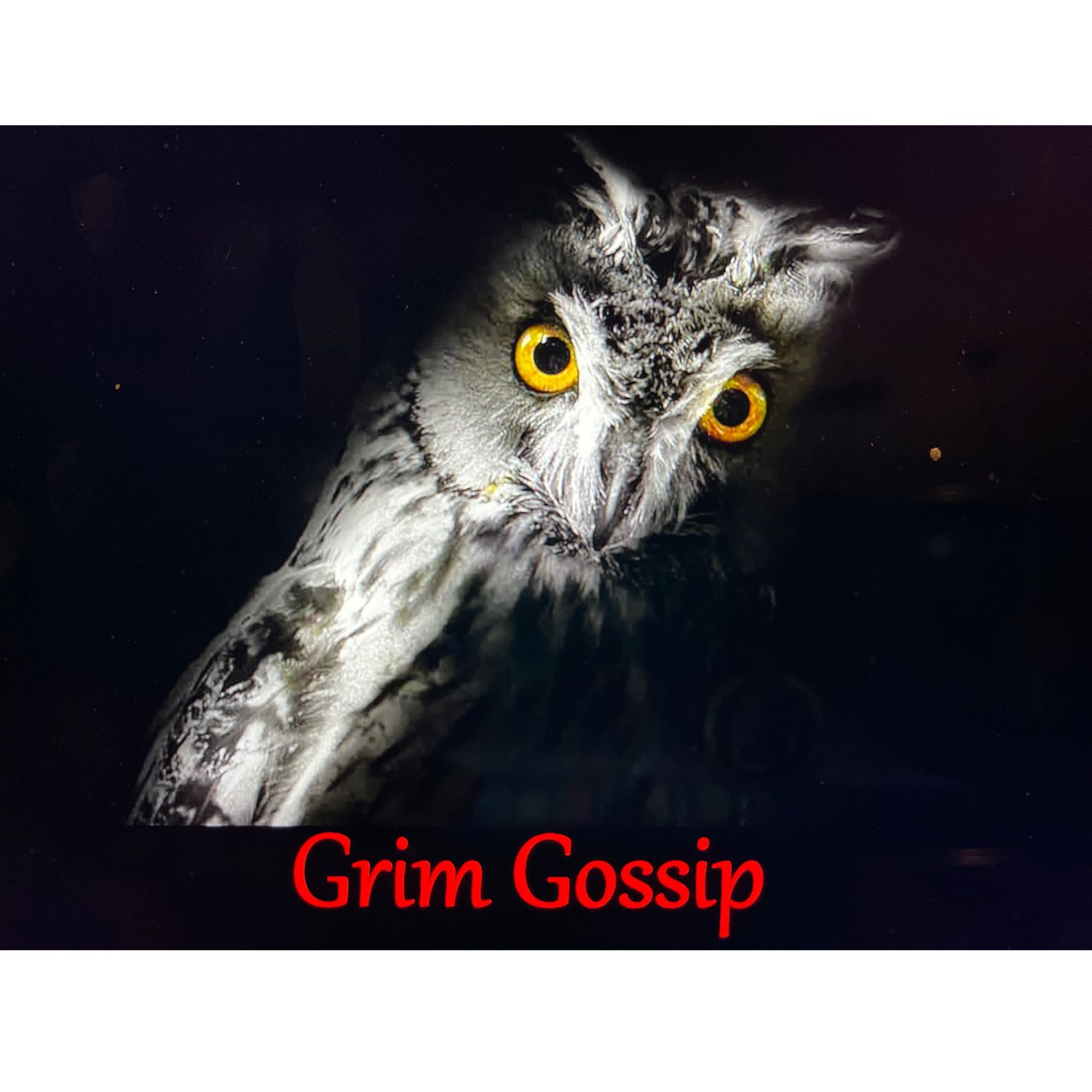 Grim Gossip 