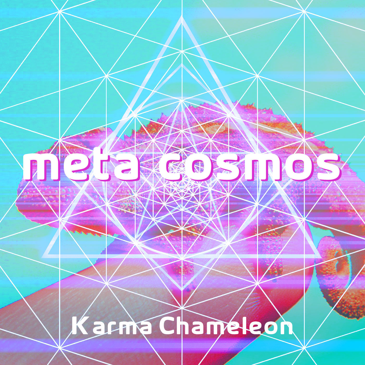 026: Karma Chameleon MBF#2