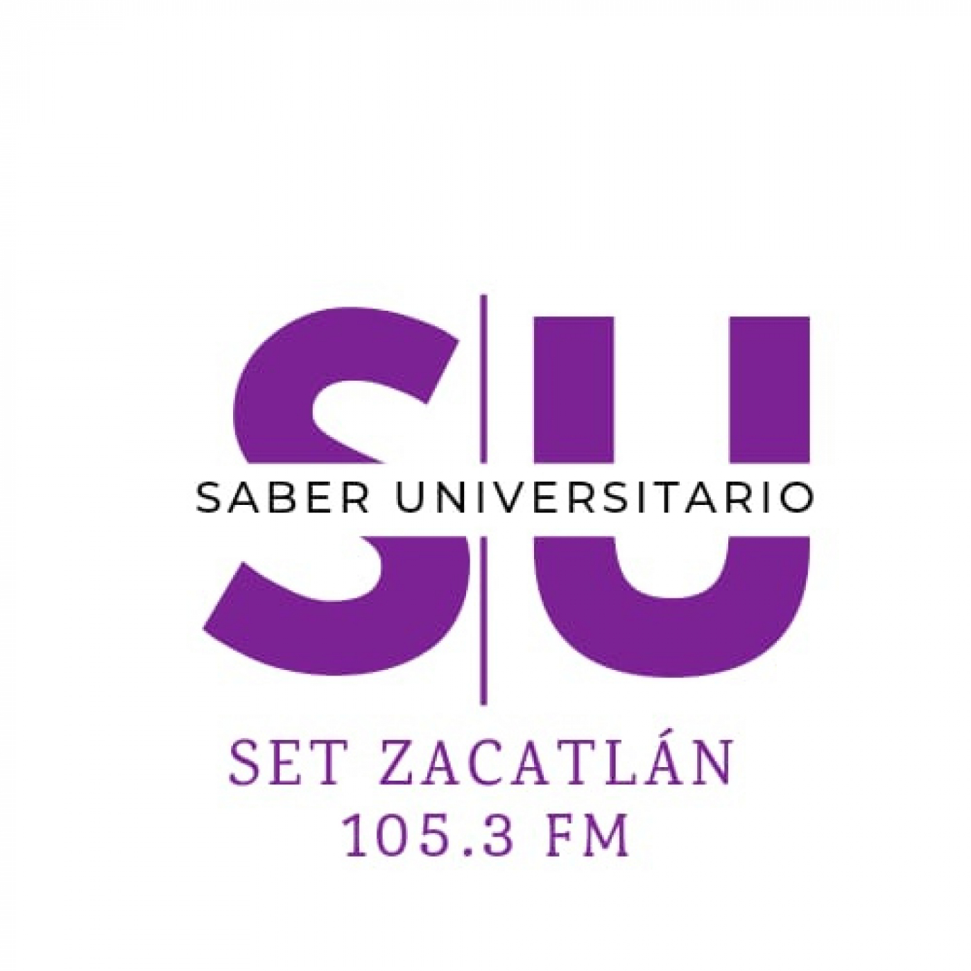 Saber Universitario (IEDEP Zacatlán) - 17 de Junio de 2023.