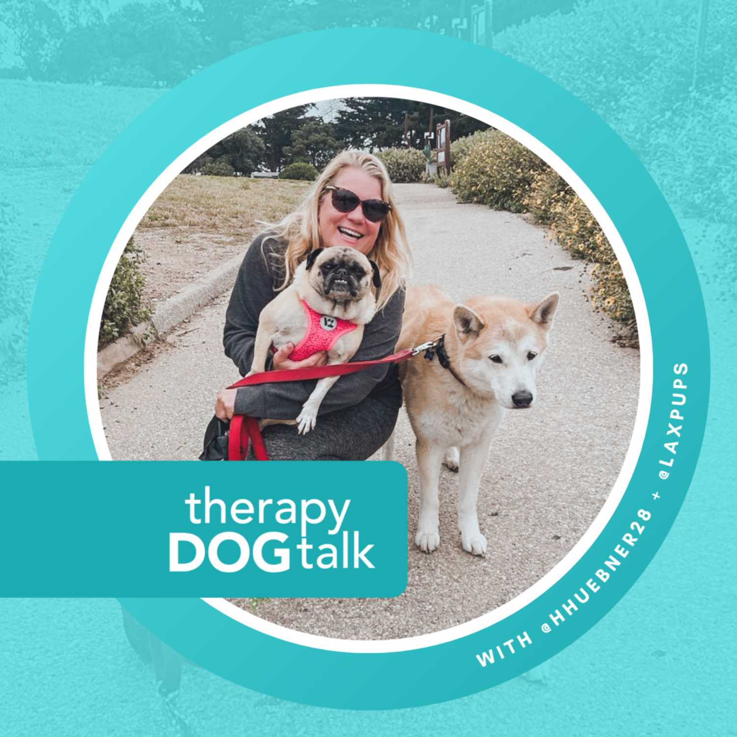 Heidi, Chance & Chubs: An Airport Therapy Dog Coordinator.