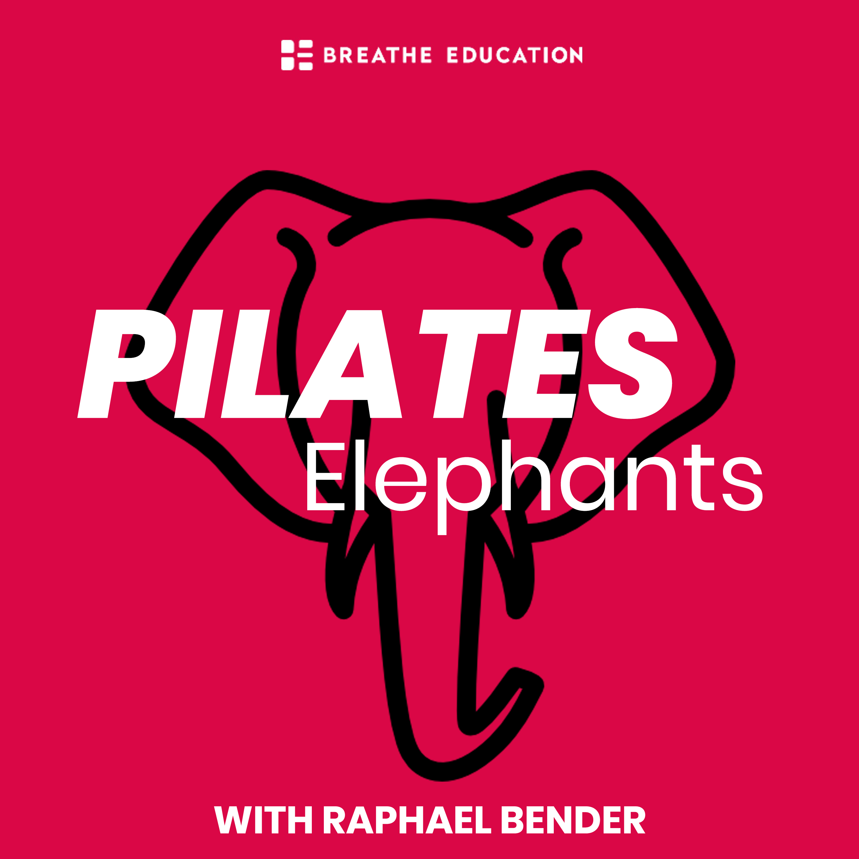 ⁣Anterior pelvic tilt and other made up dysfunctions, with Raphael Bender