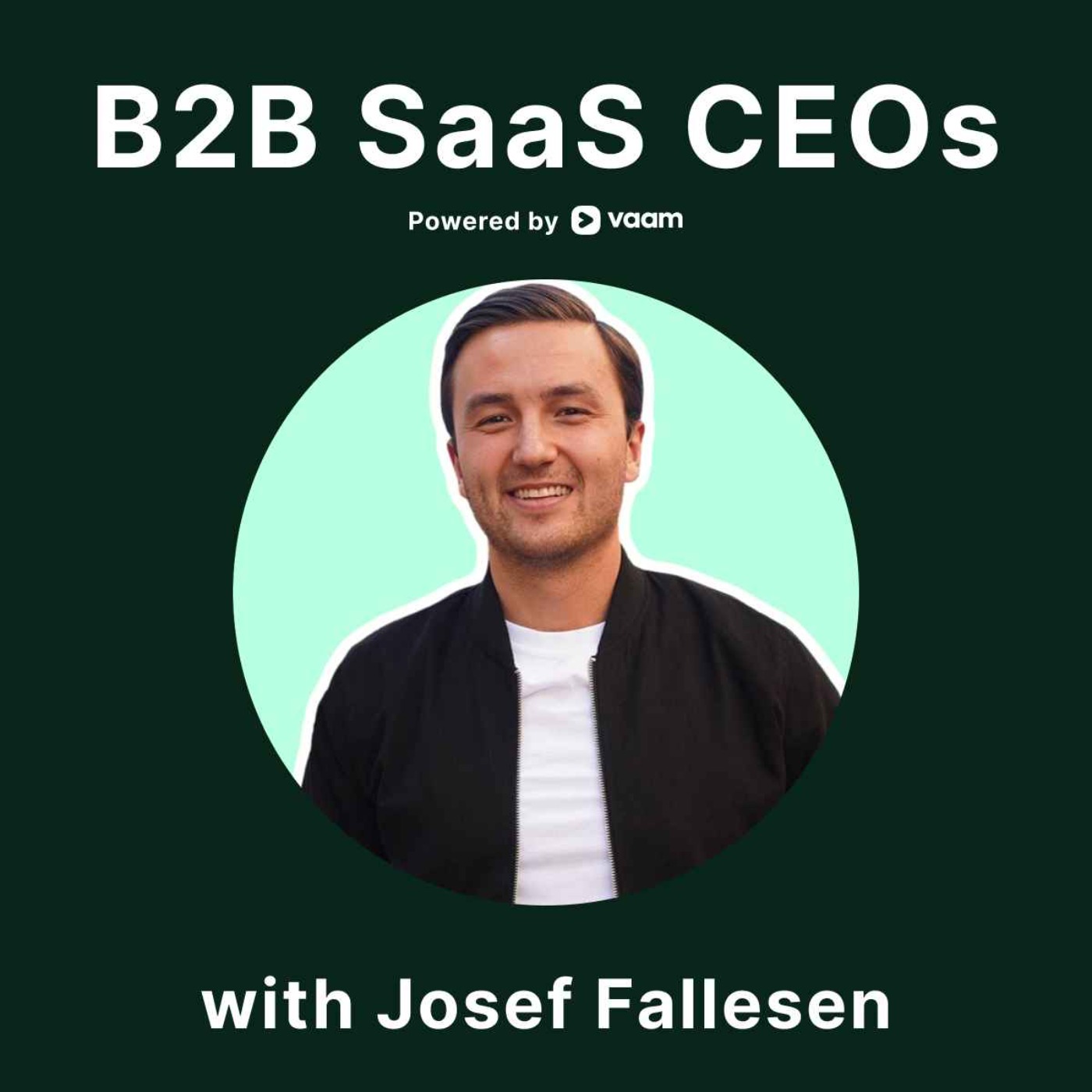 B2B SaaS CEOs 