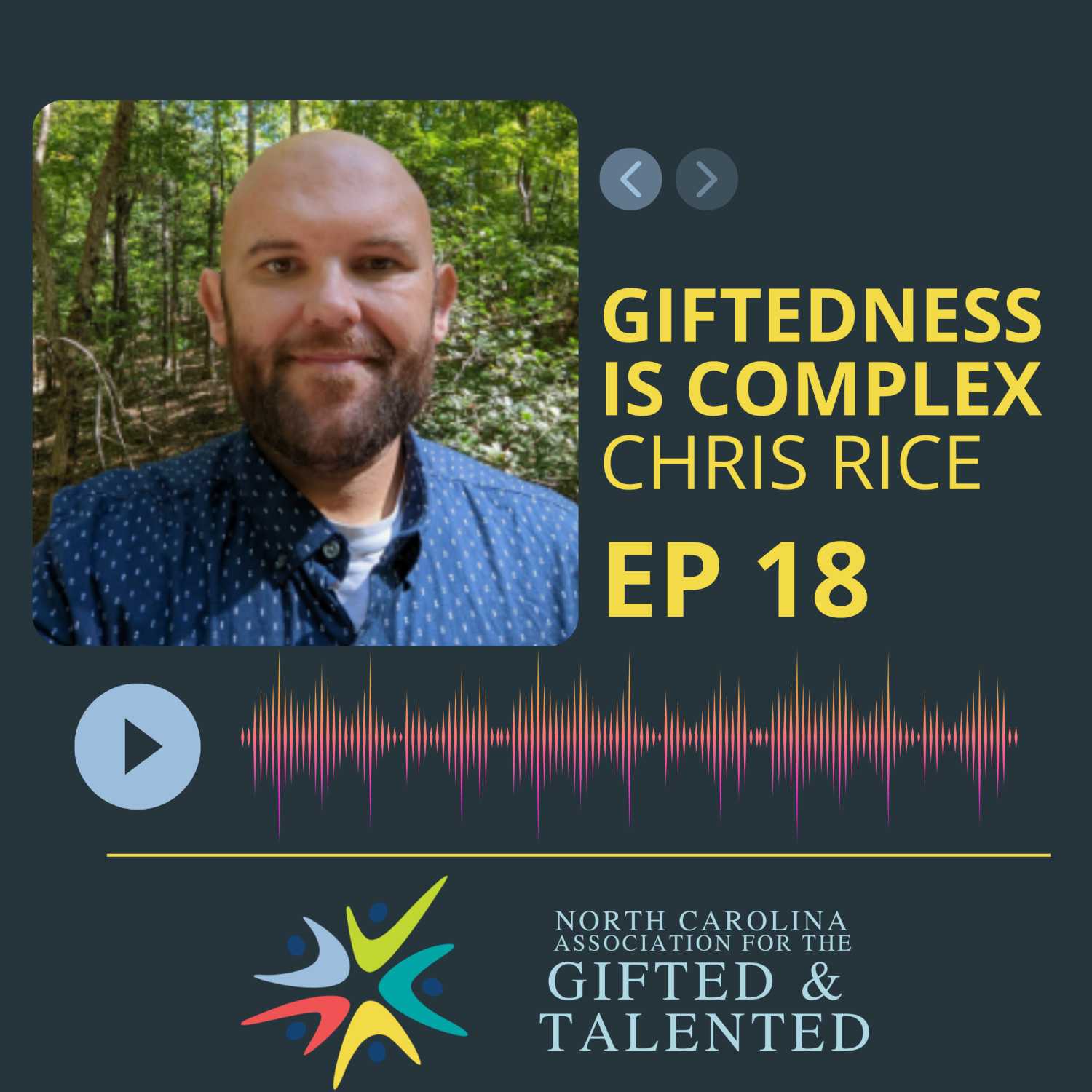 Giftedness is Complex - Chris Rice