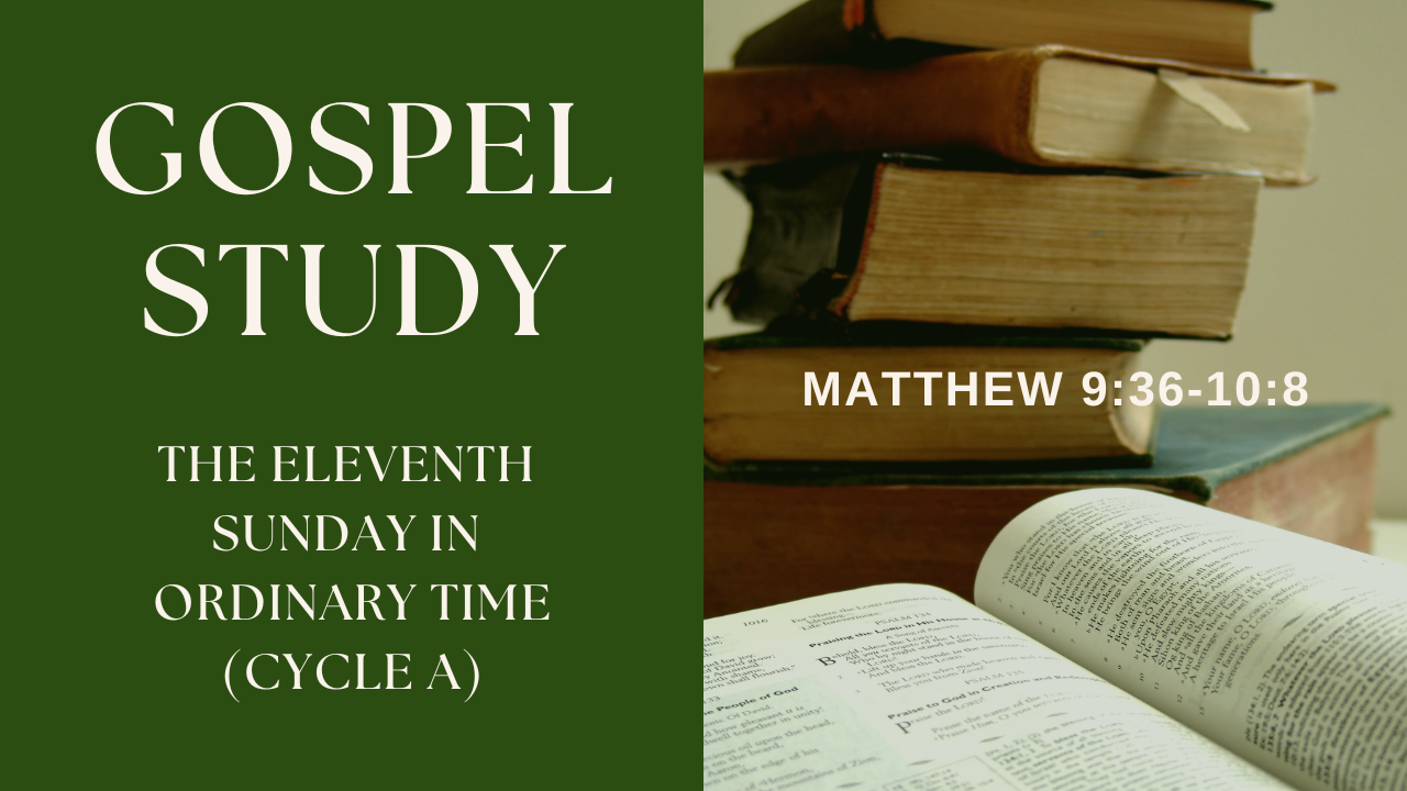 Gospel Study: The Eleventh Sunday in Ordinary Time - Cycle A