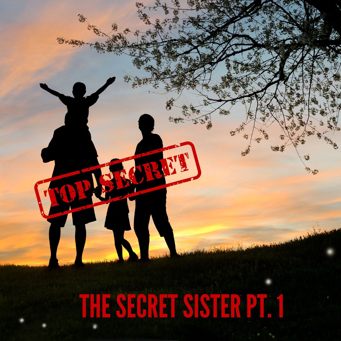 The Secret Sister Pt. 1